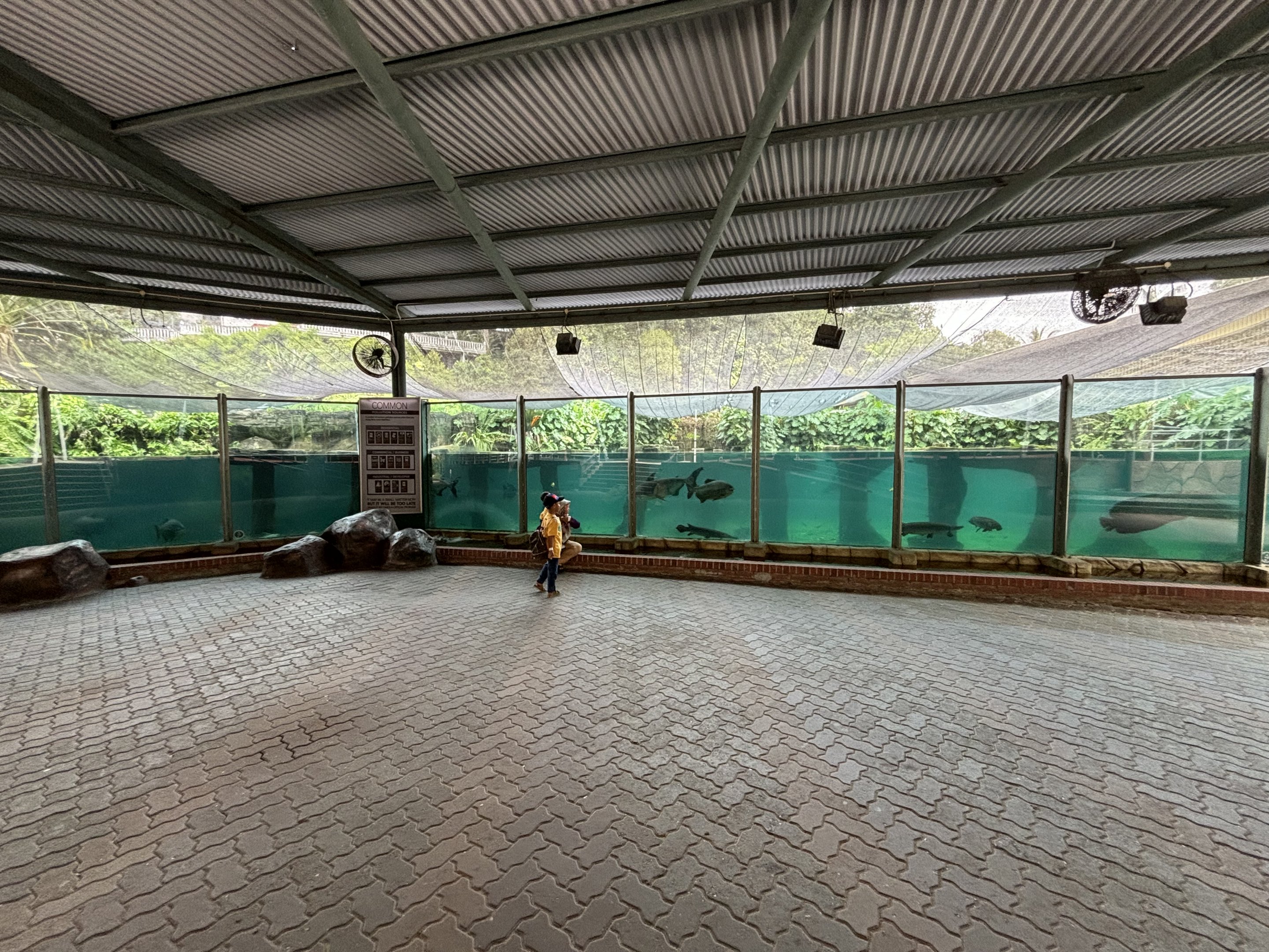 River Giants Exhibit (ex-Sea Lion exhibit)