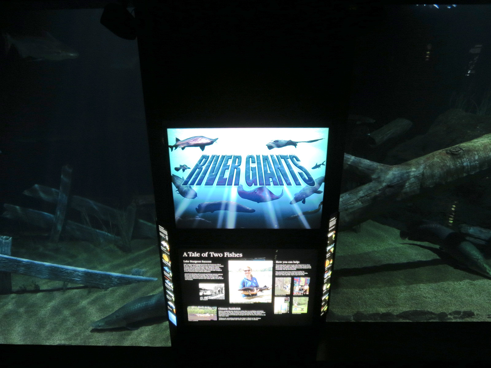 River Giants Exhibit