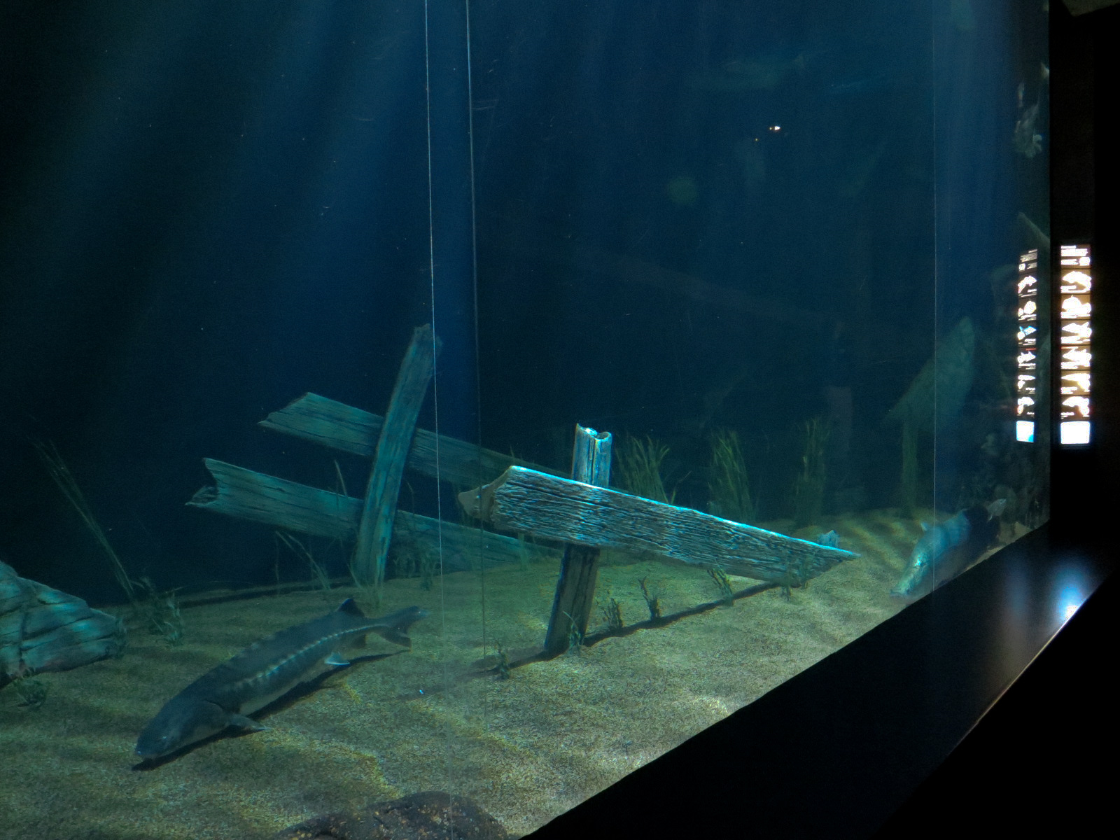 River Giants Exhibit