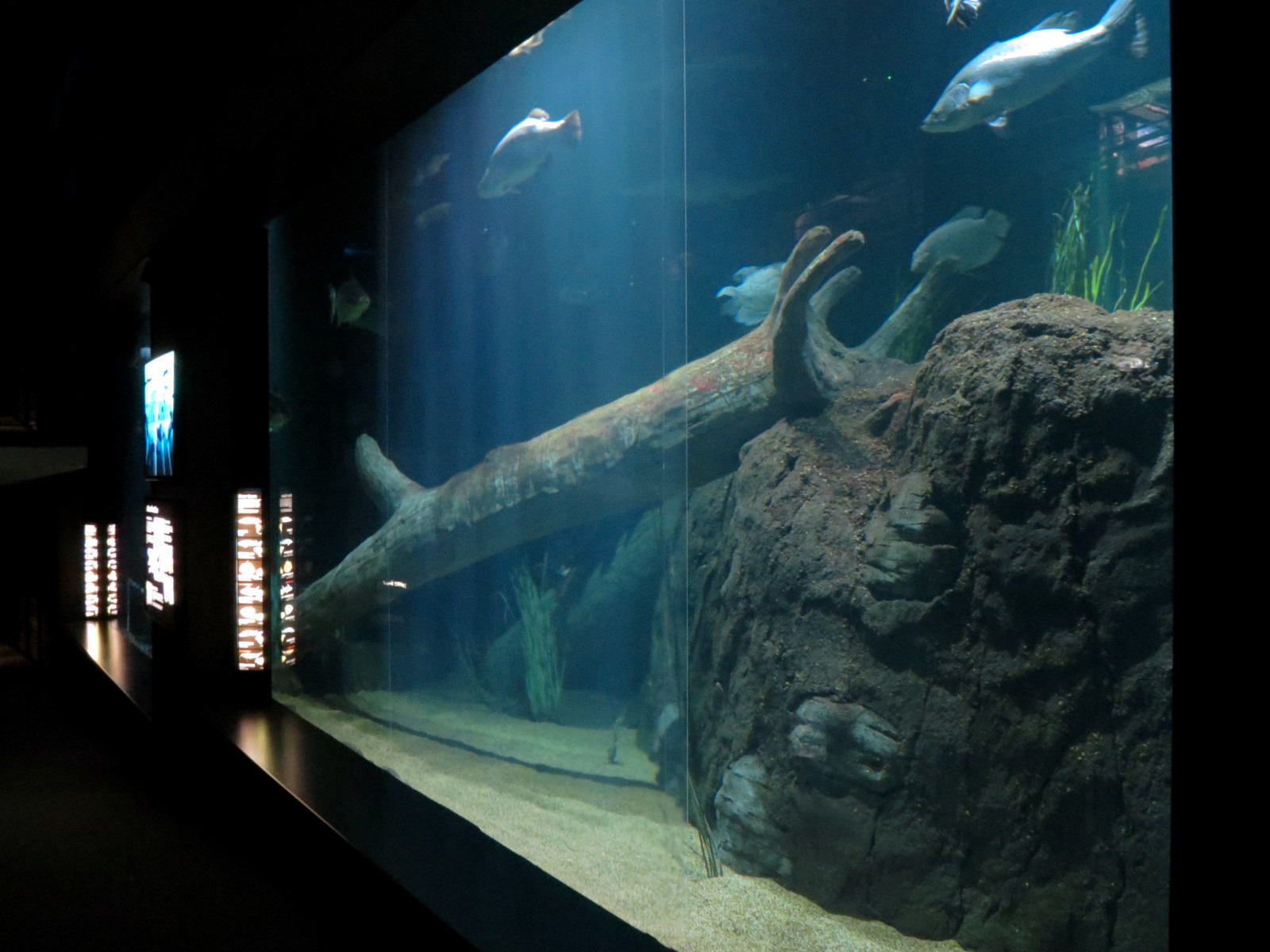 River Giants Exhibit