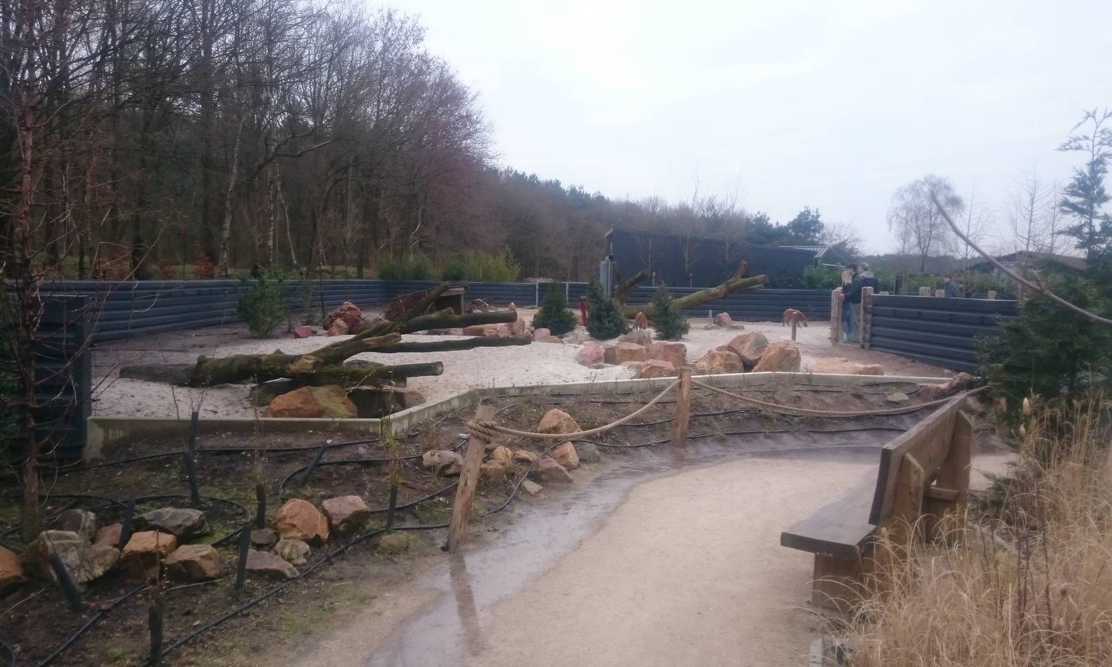 River hog and Mongoose enclosure