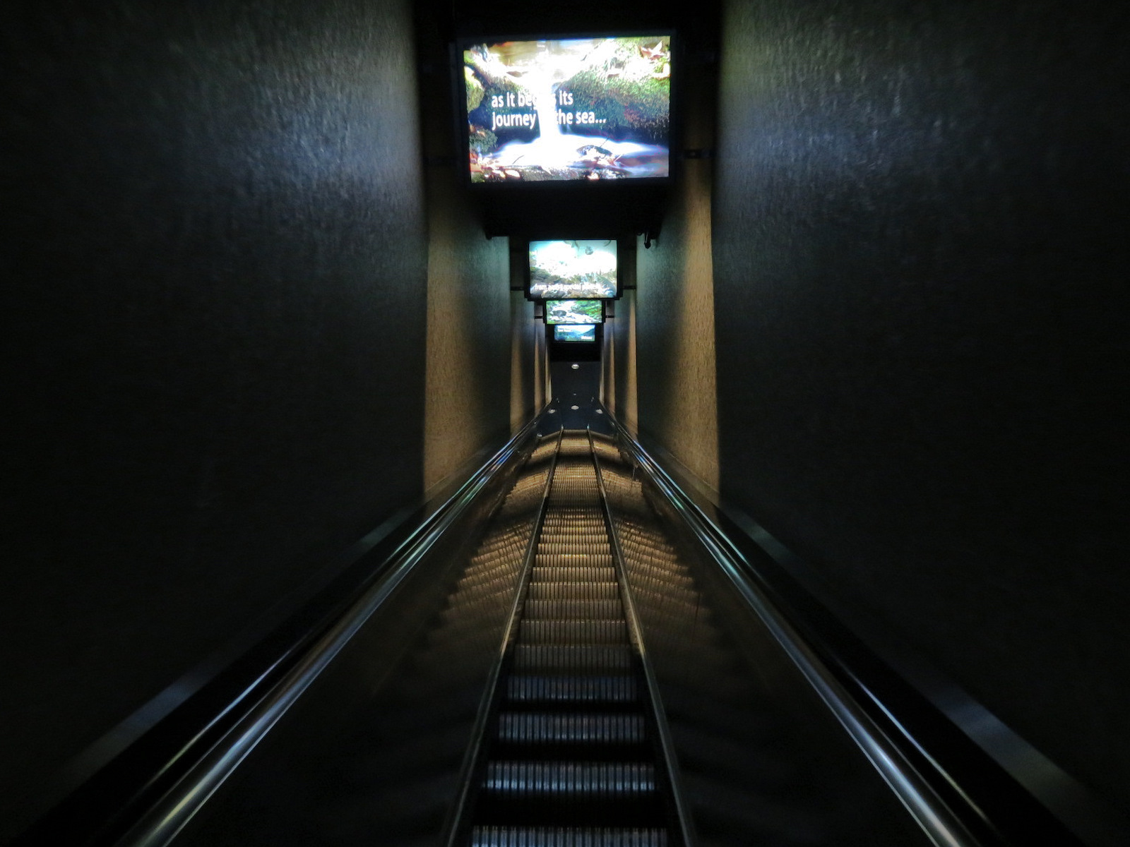 River Journey - Entry Escalator to Top Floor