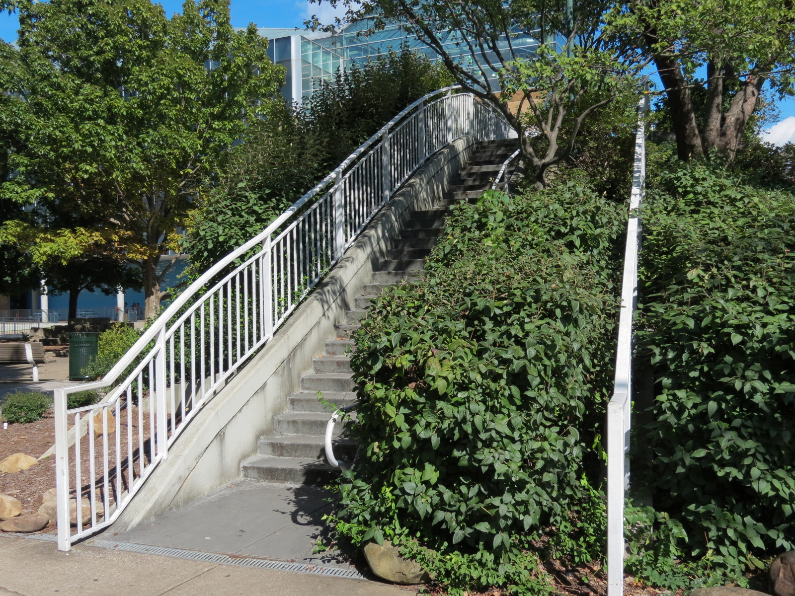 River Journey - Exterior Landscape and Bridge