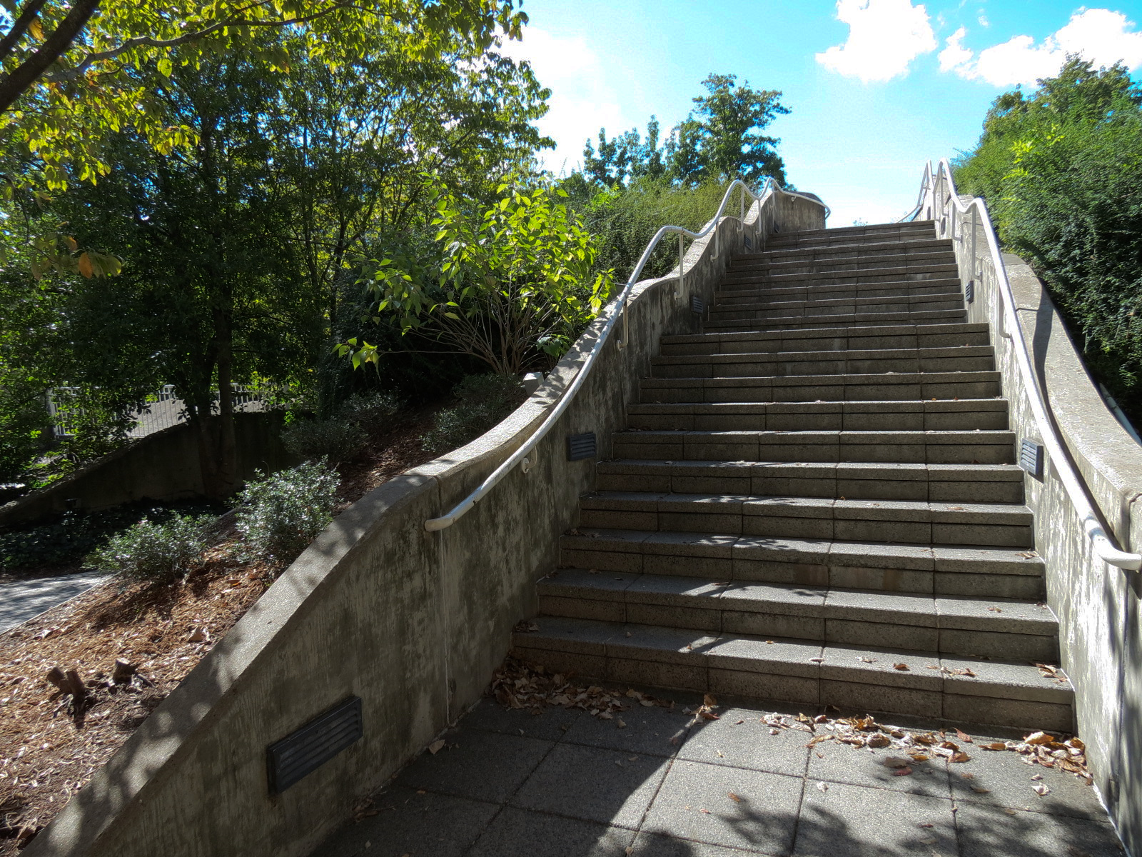 River Journey - Exterior Landscape and Bridge