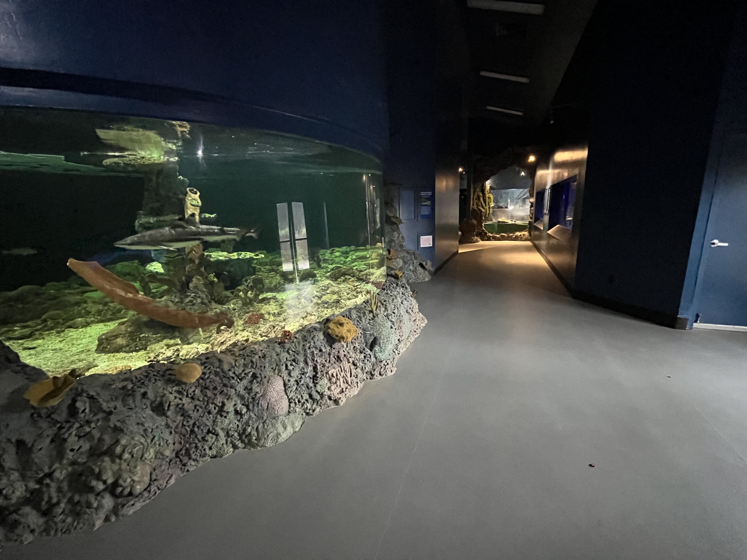 River Monsters Building