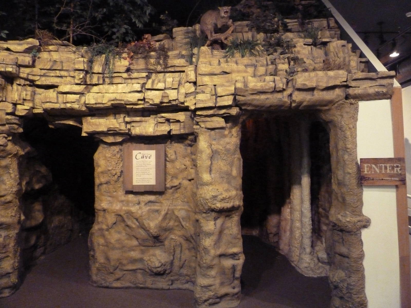 River Museum - Mark Twain's Cave