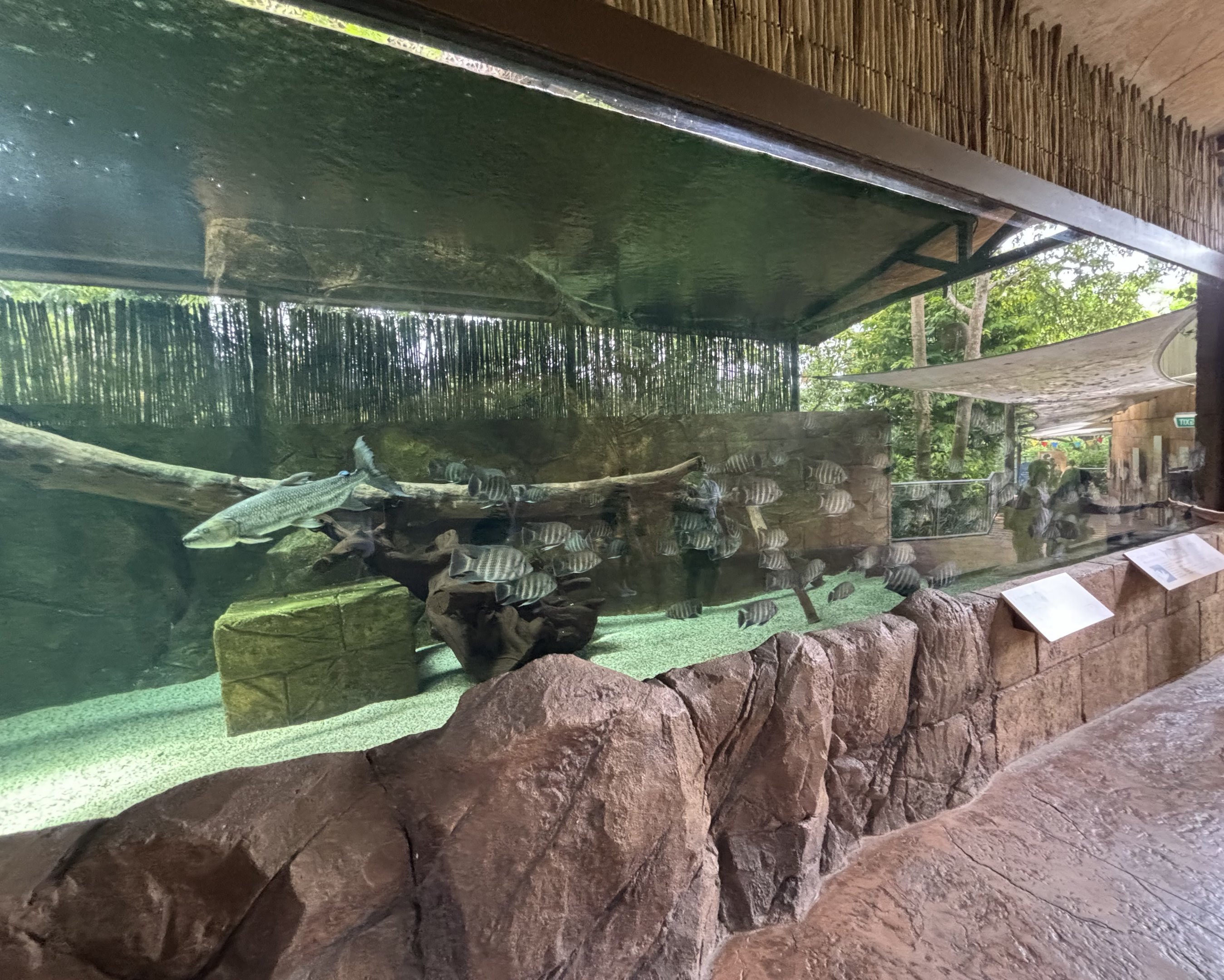 River Nile Exhibit (3 species)