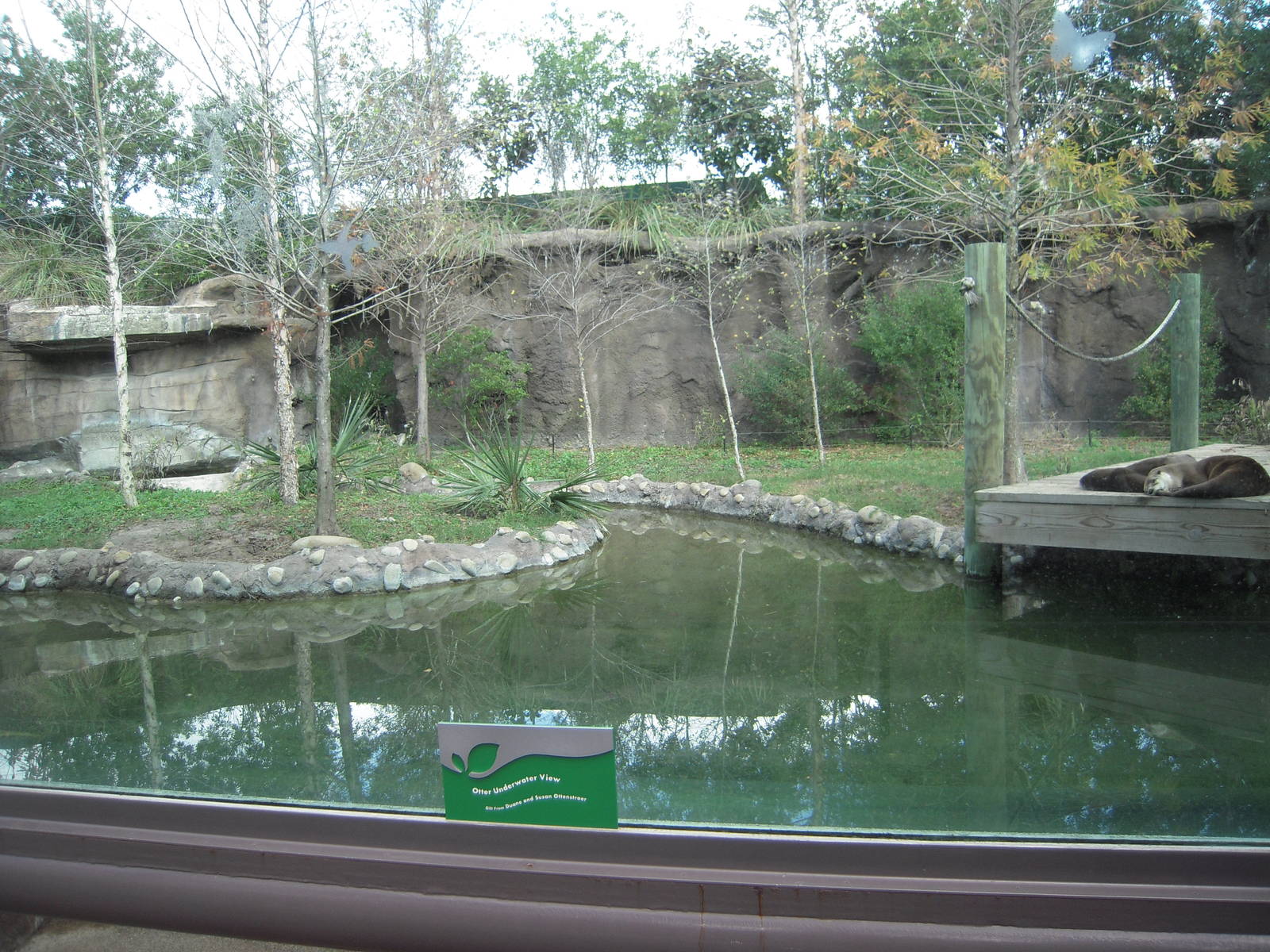 River Otter Enclosure - Kid's Zone