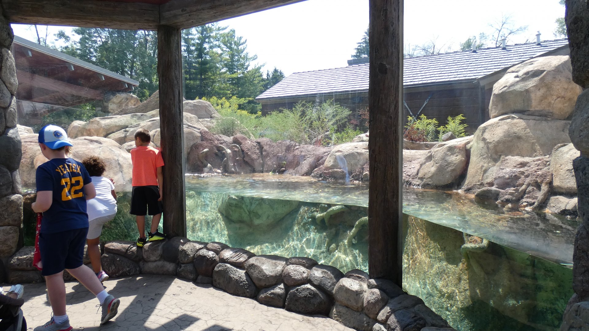 River Otter Enclosure, Otter Passage - Aug. 2021