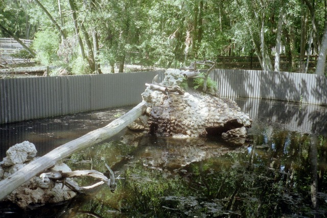River Otter Enclosure