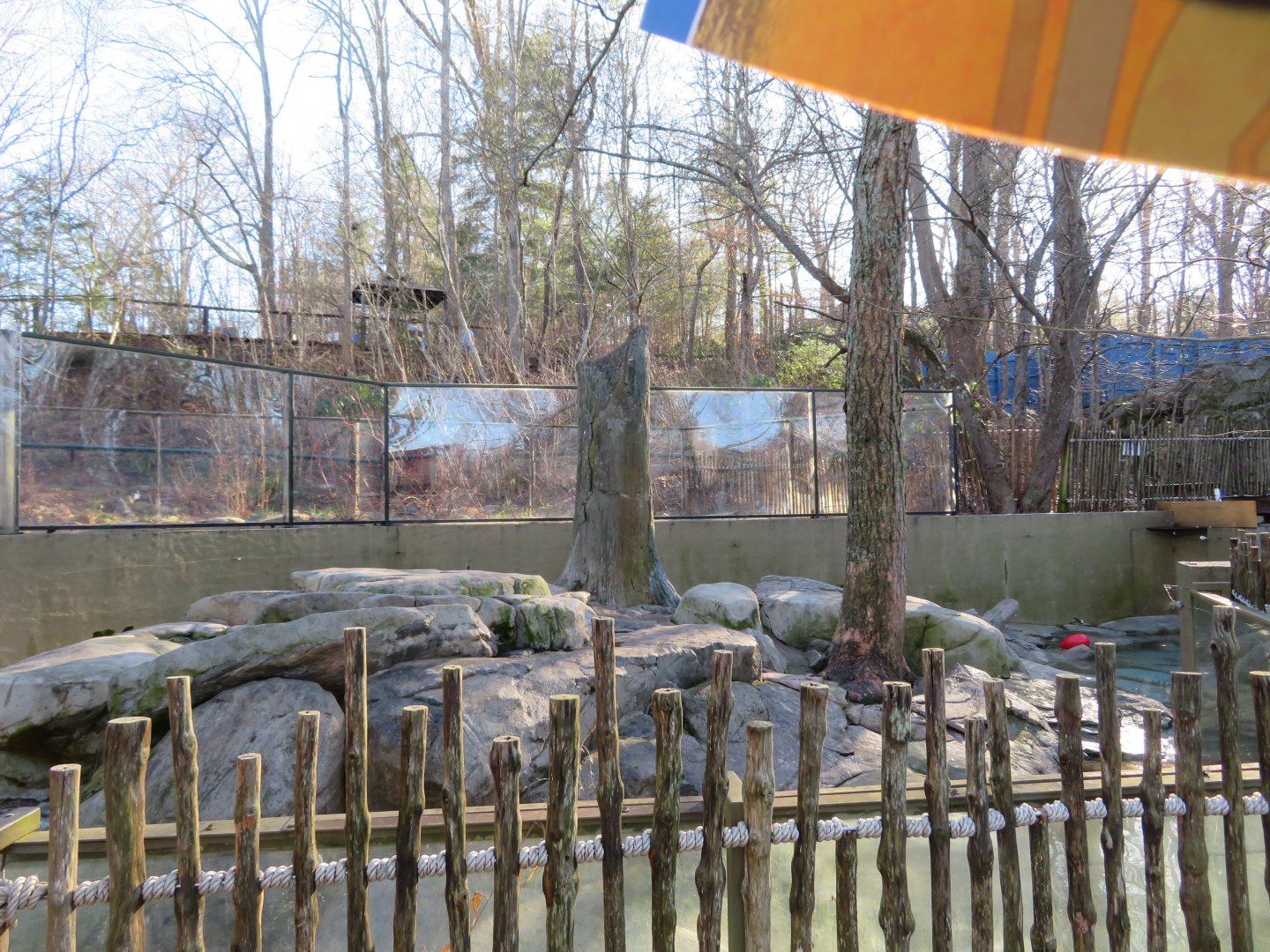 River Otter Exhibit (1 of 2)