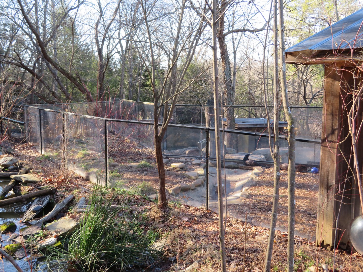 River Otter Exhibit (2 of 2)