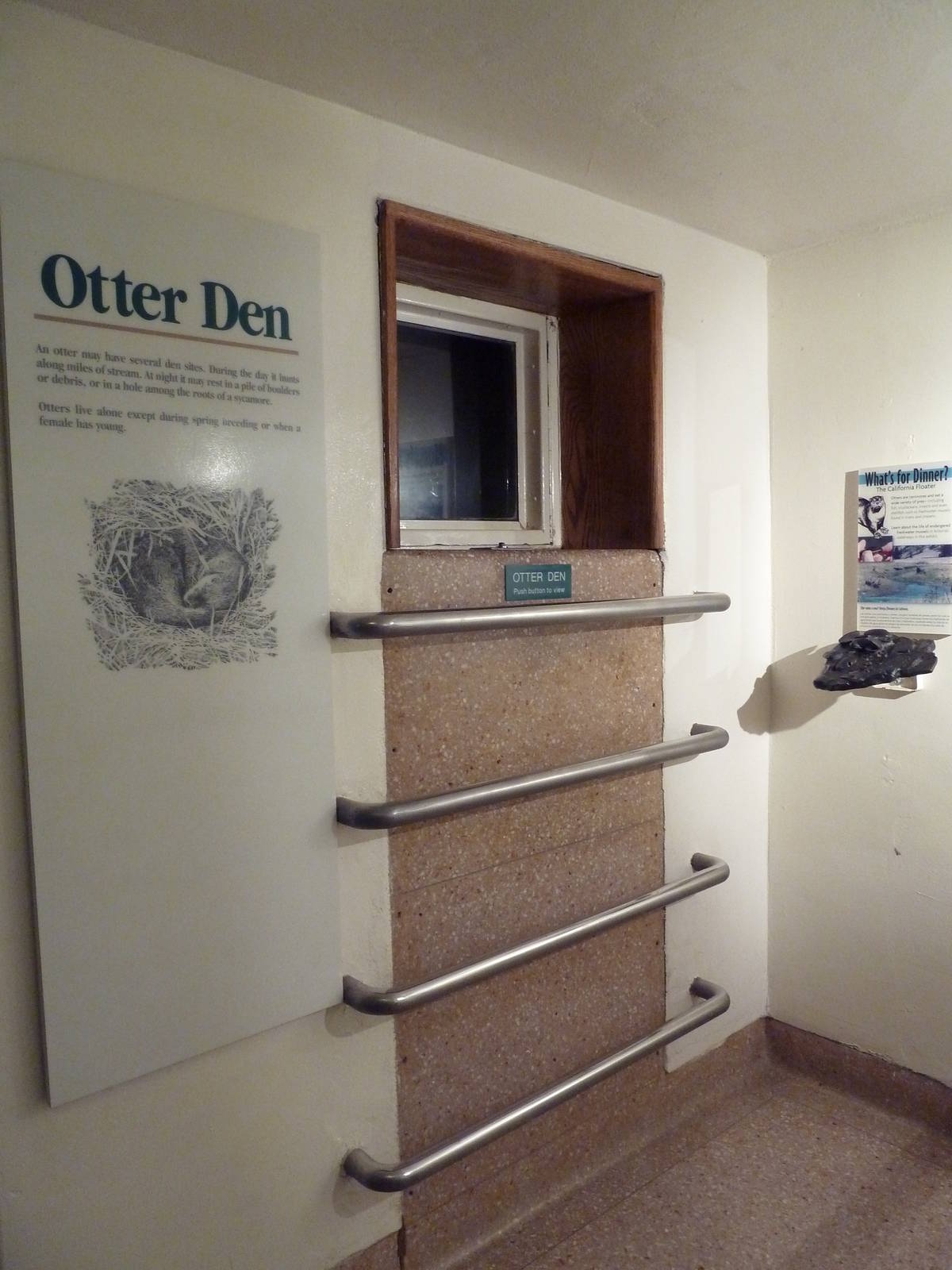 River Otter Exhibit - Den