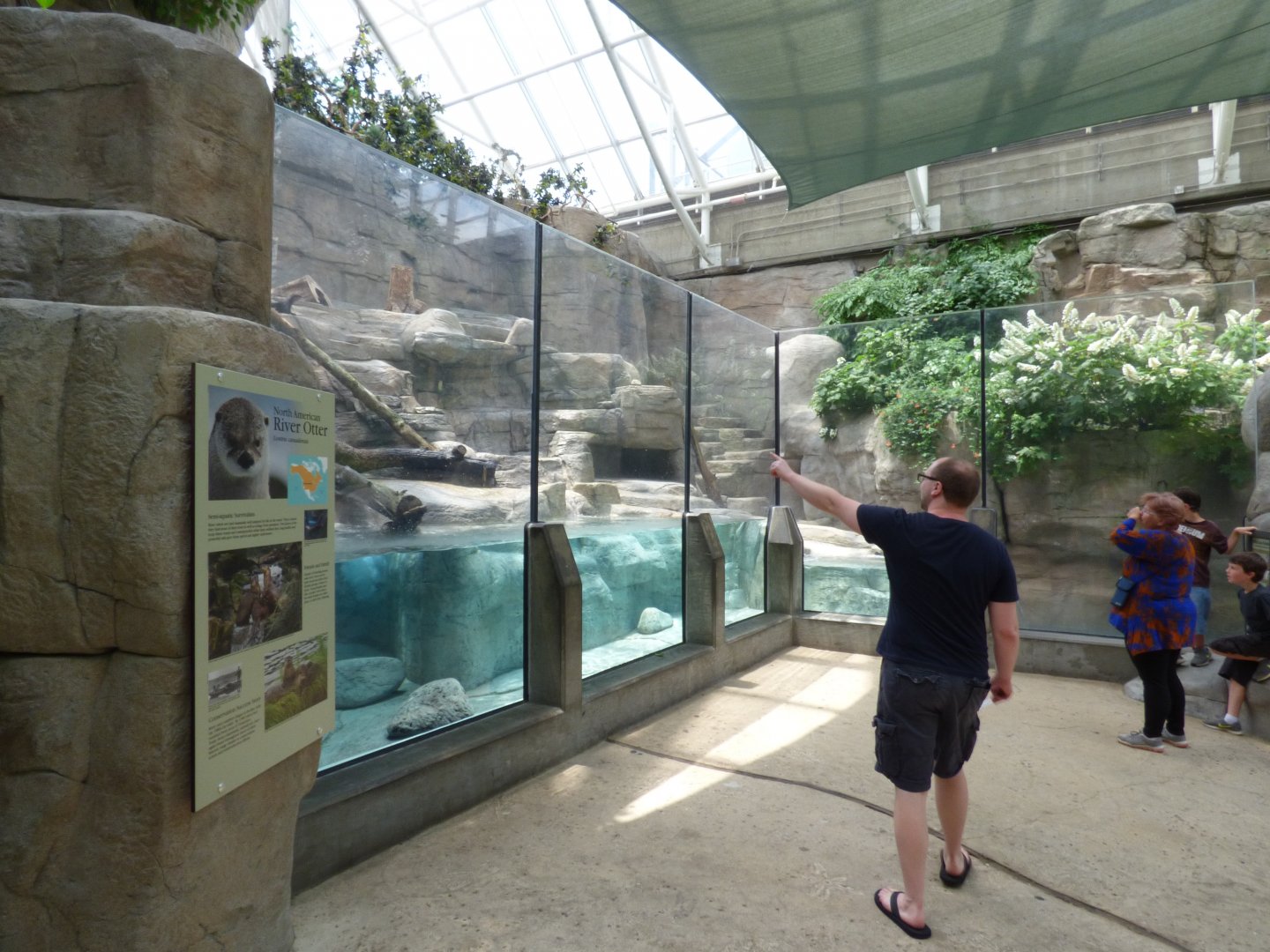 River Otter Exhibit - May 2018