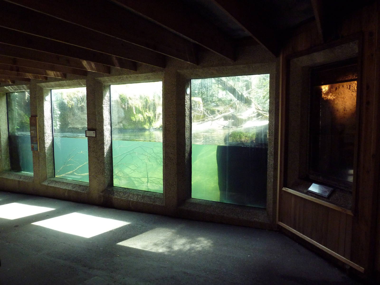 River Otter Exhibit - Underwater Viewing + Den