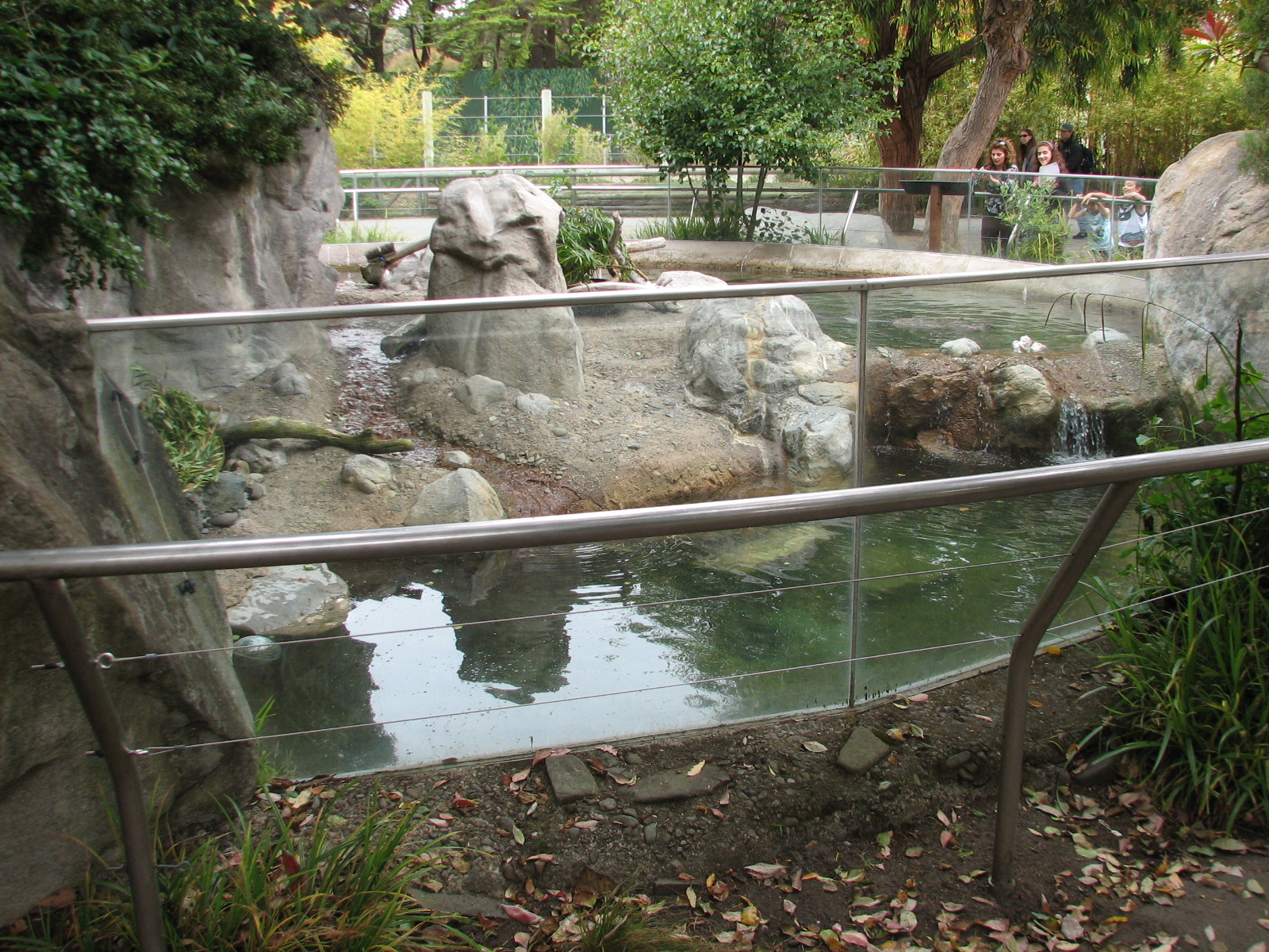 River Otter Exhibit