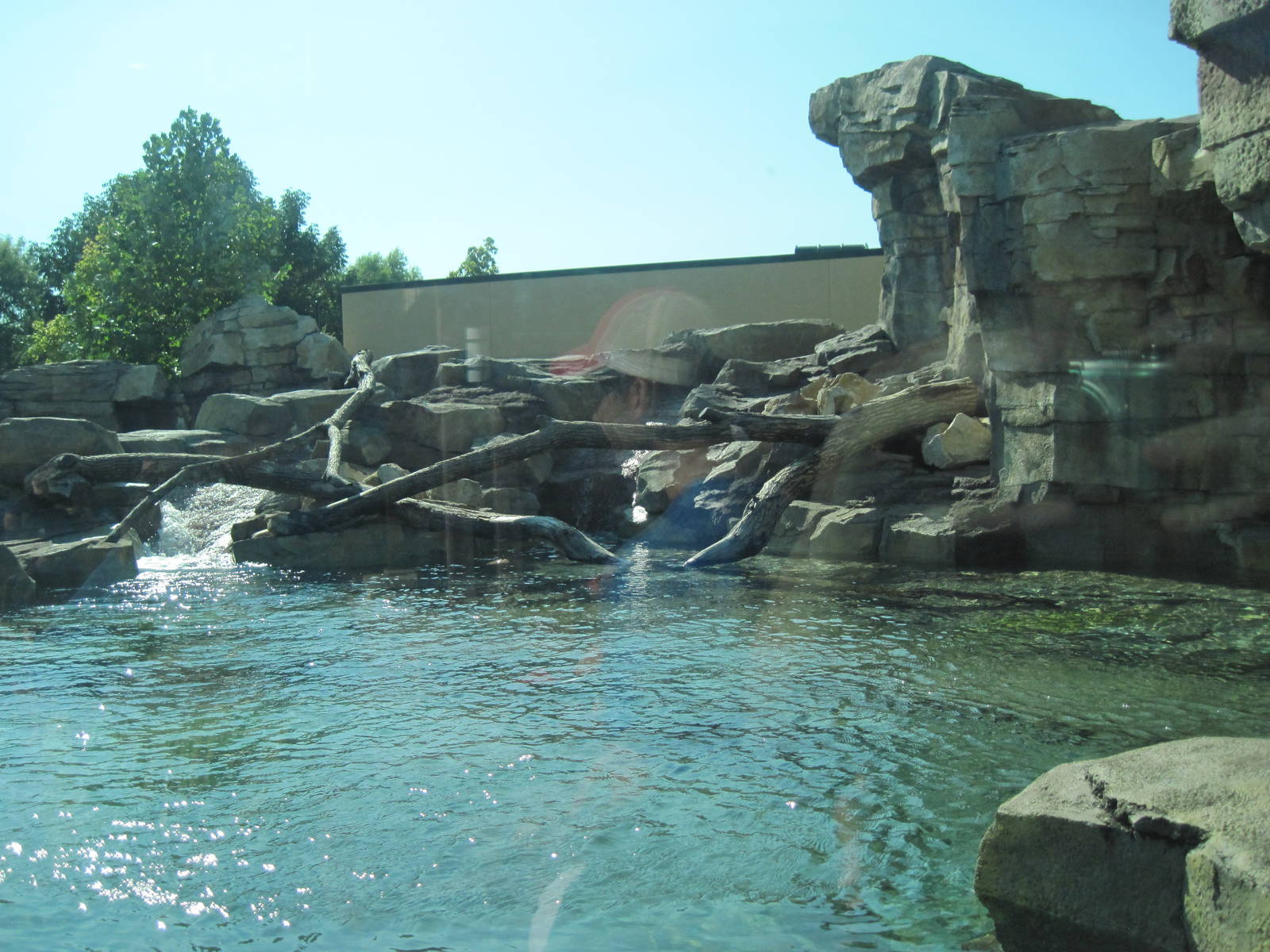 River Otter Exhibit