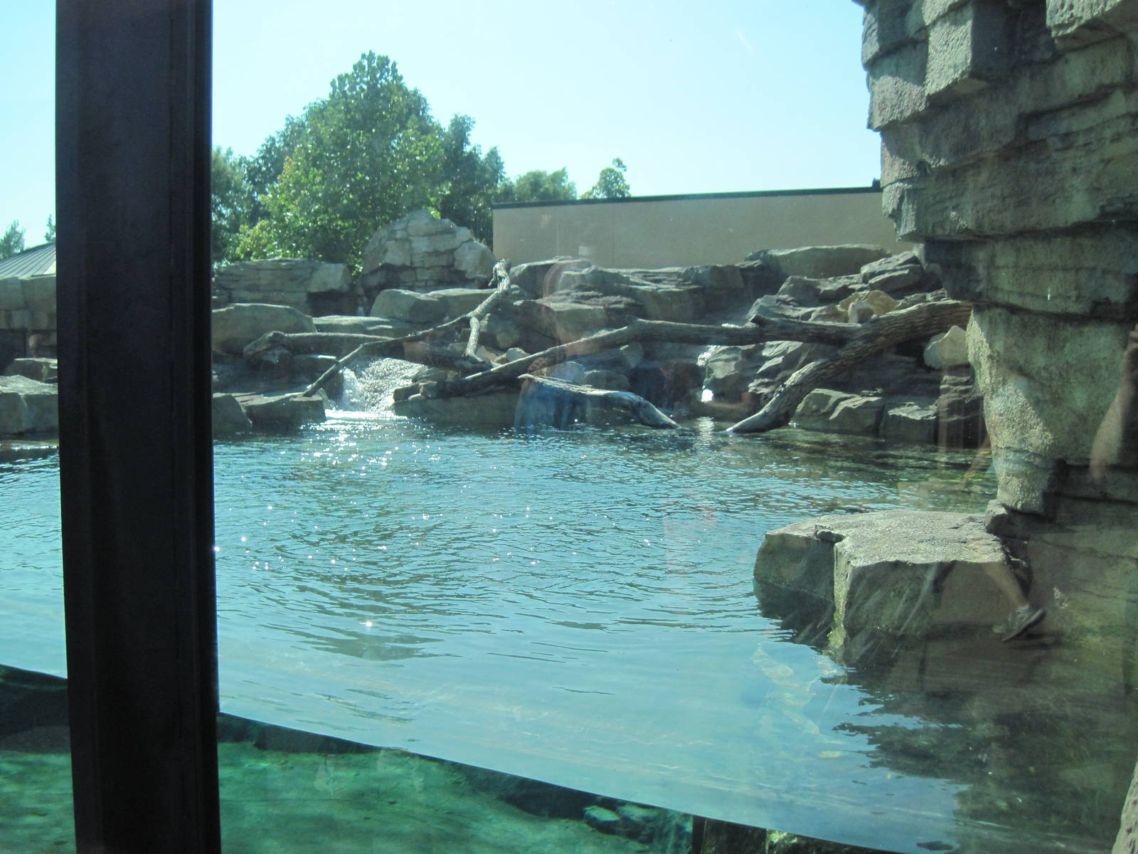 River Otter Exhibit