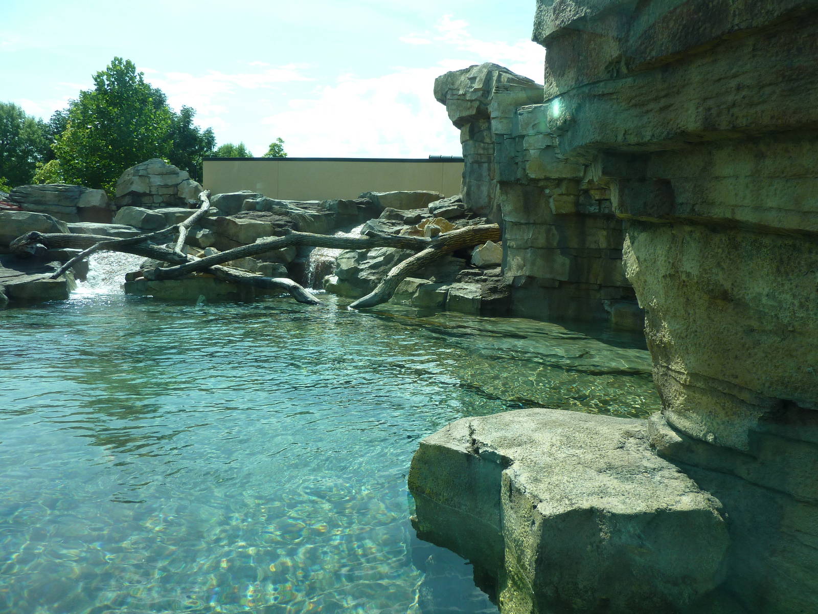 River Otter Exhibit
