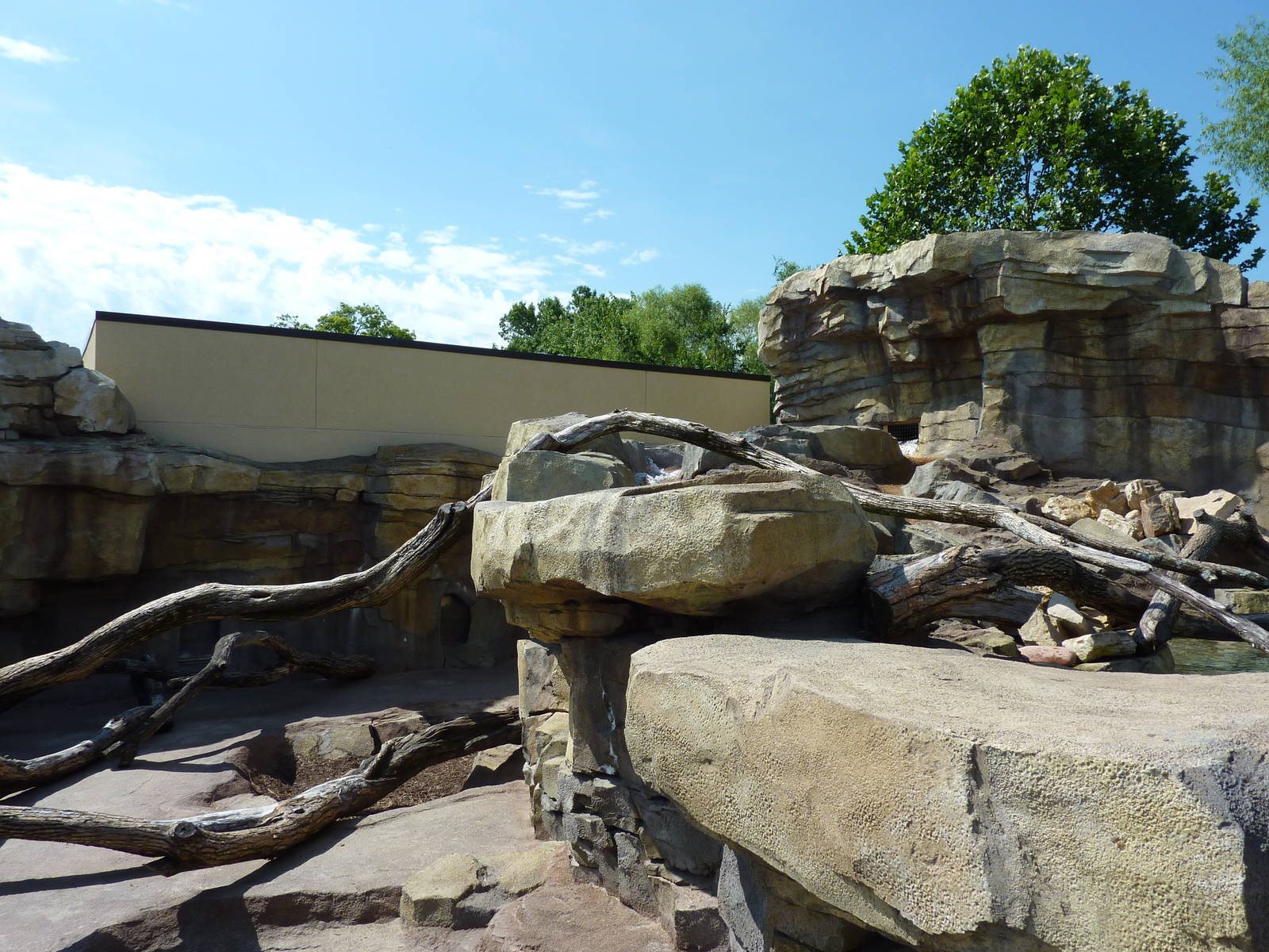 River Otter Exhibit