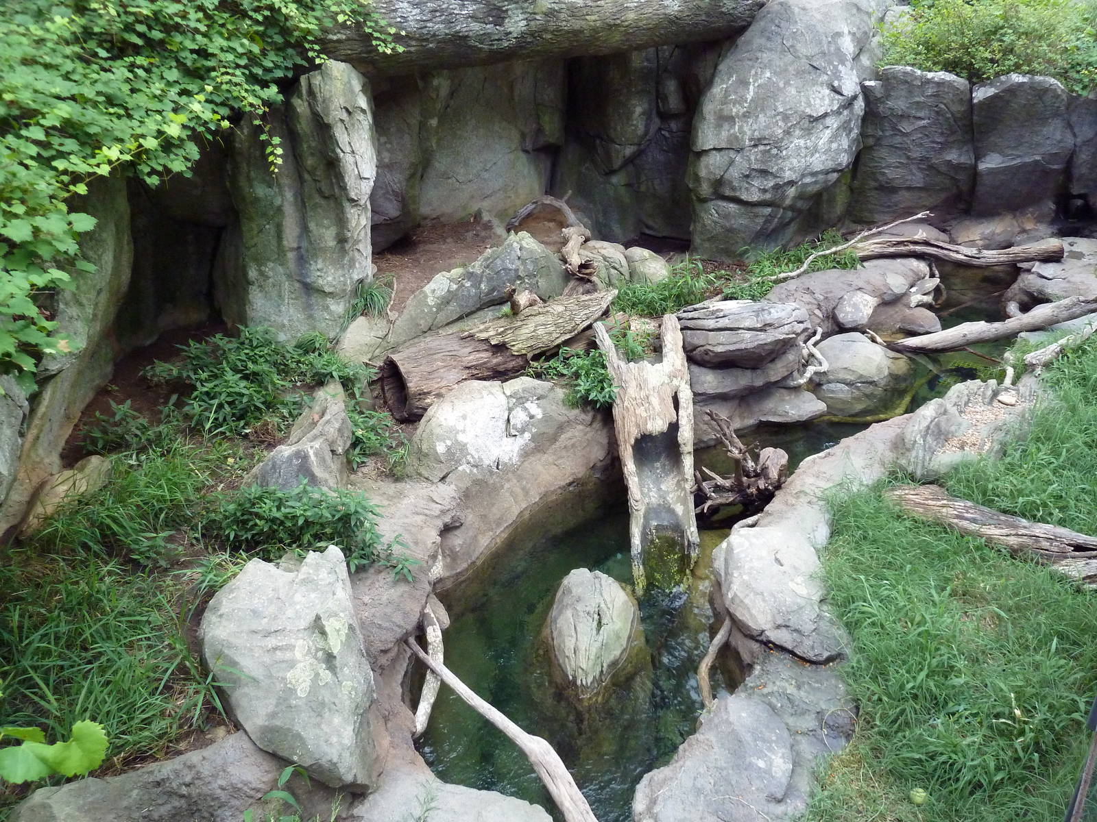 River Otter Exhibit