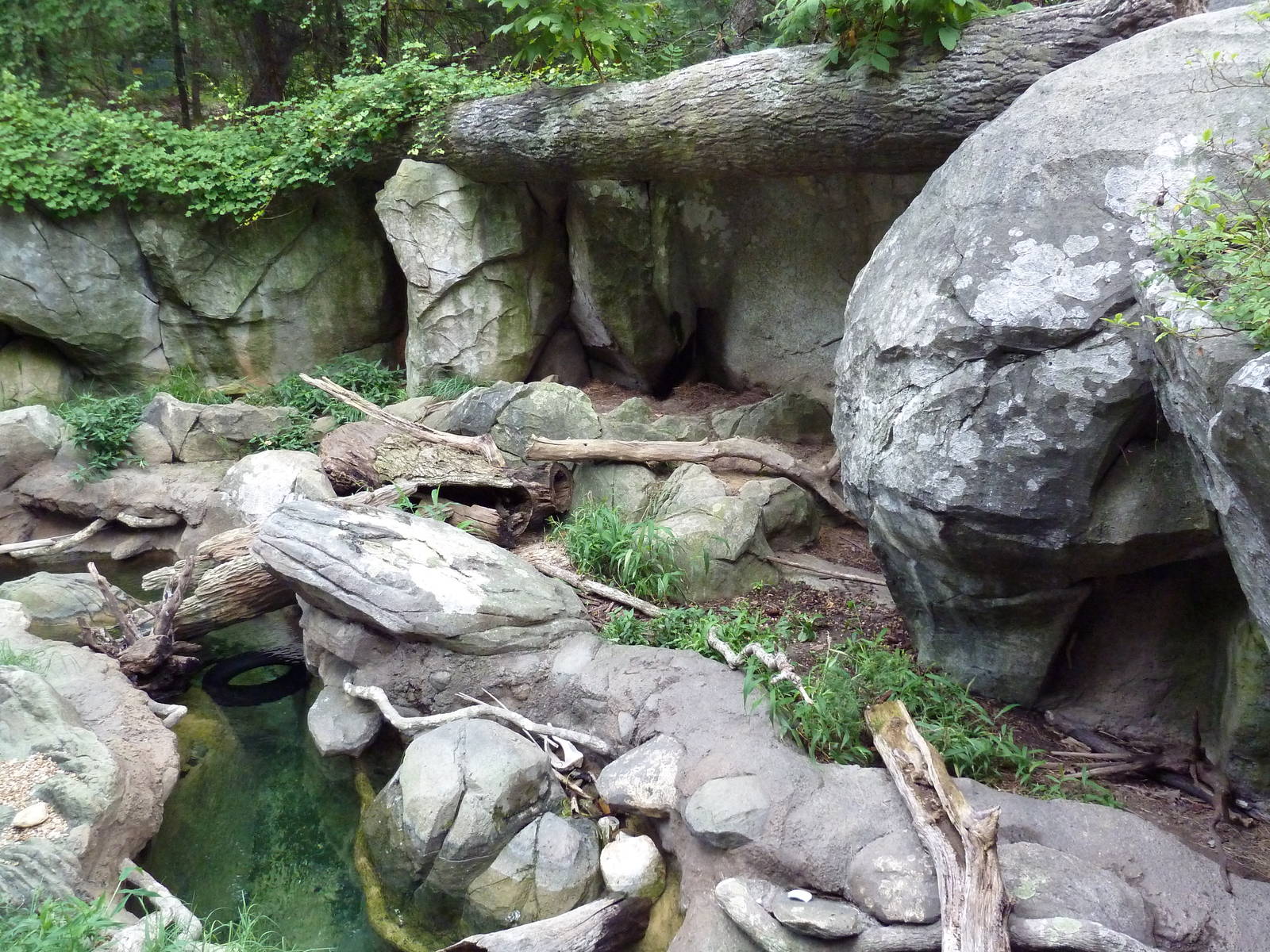 River Otter Exhibit