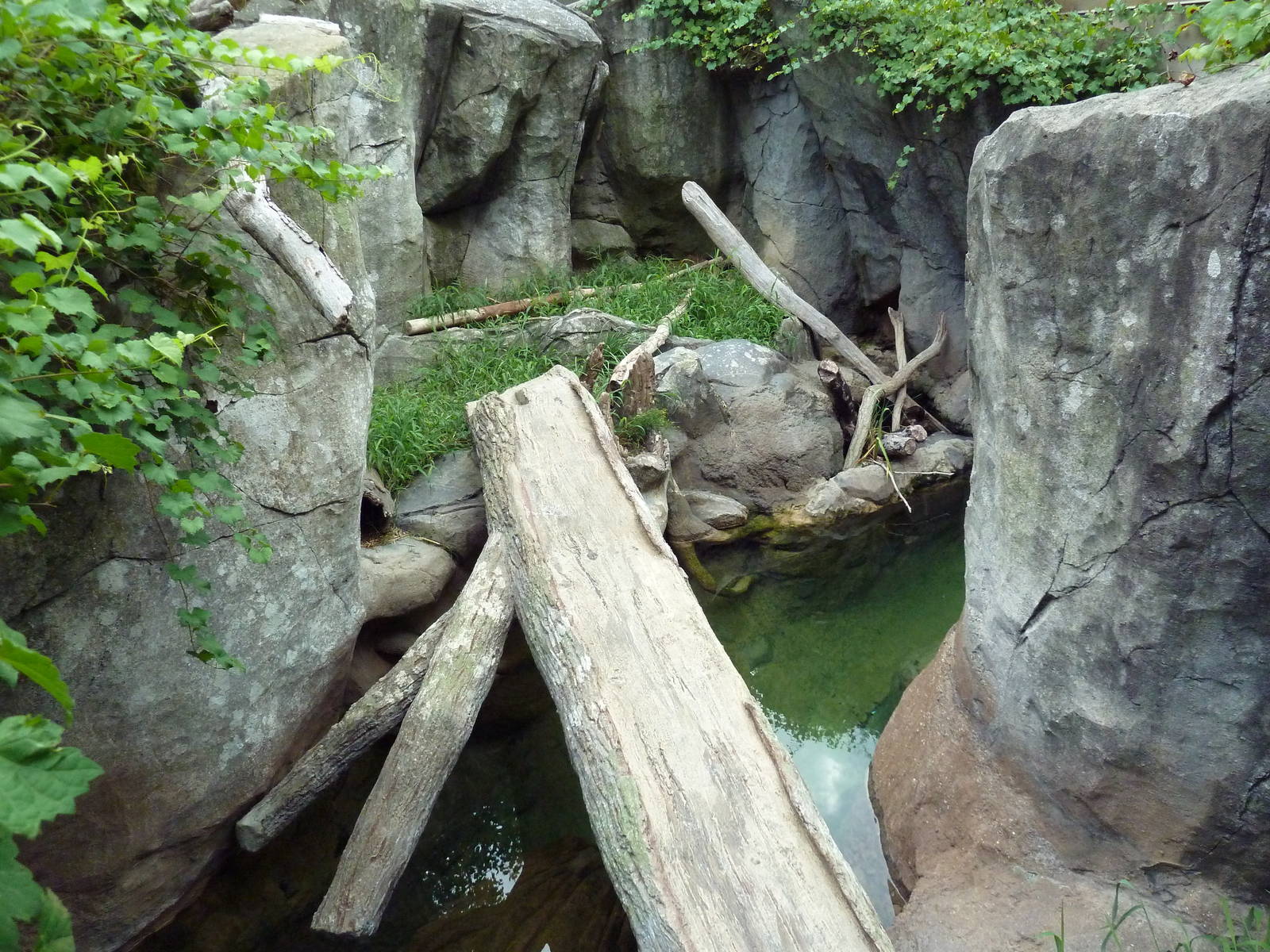 River Otter Exhibit