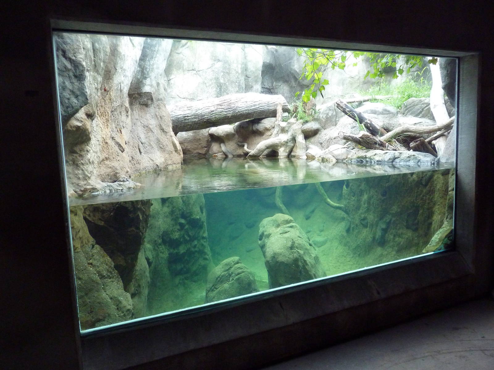 River Otter Exhibit