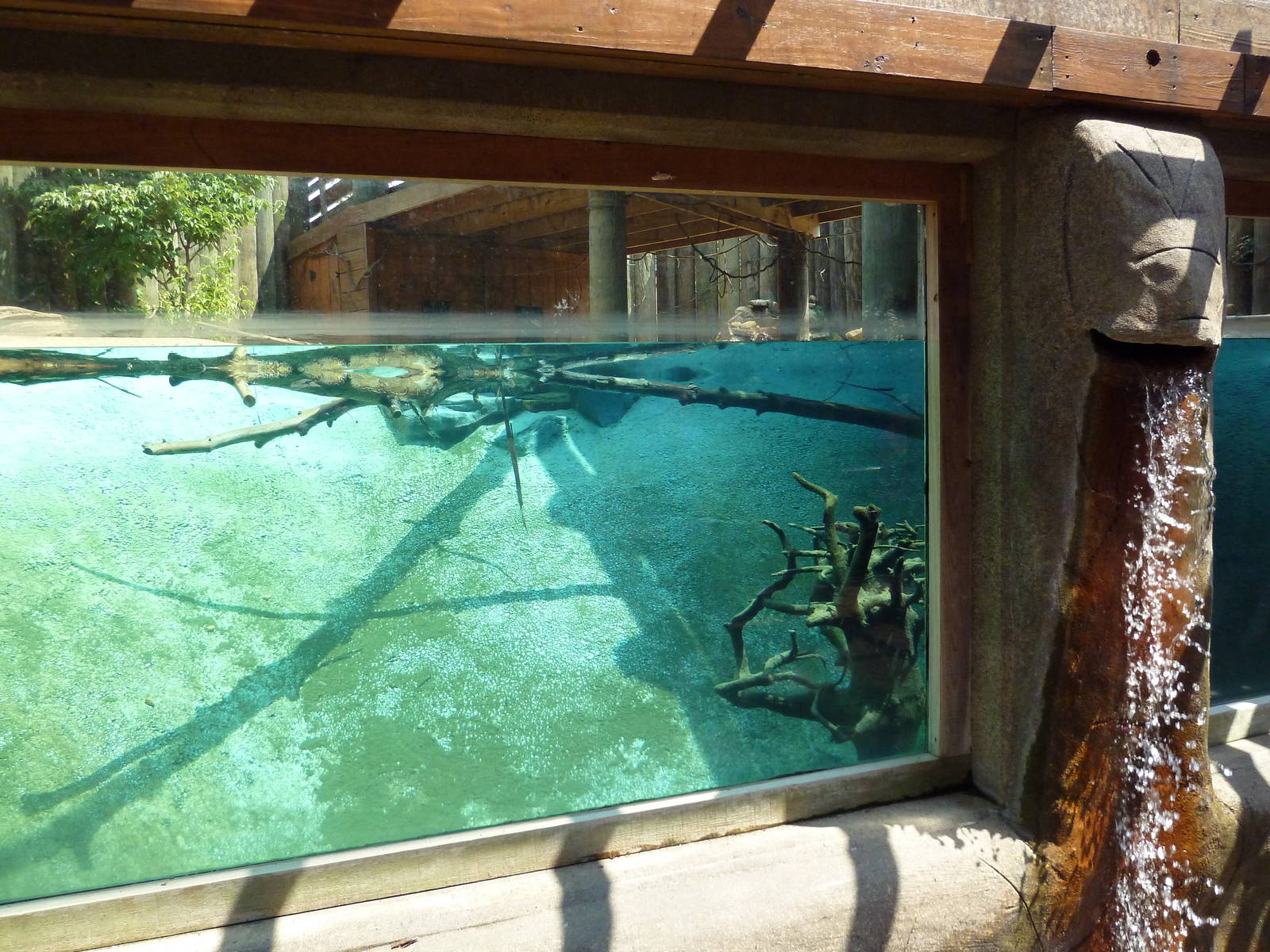 River Otter Exhibit