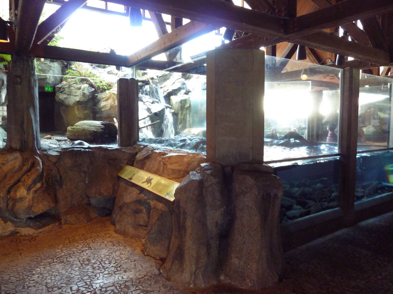 River Otter Exhibit