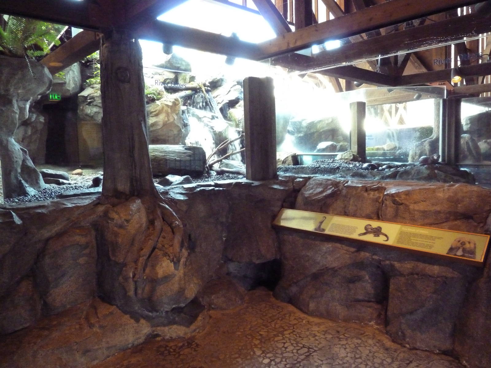 River Otter Exhibit