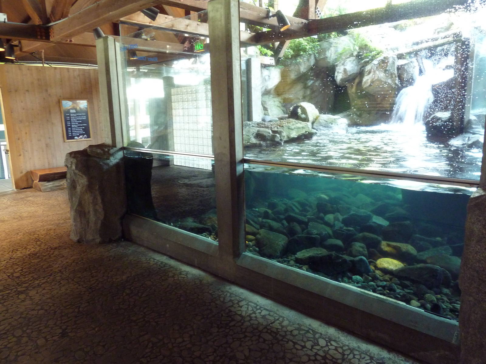 River Otter Exhibit