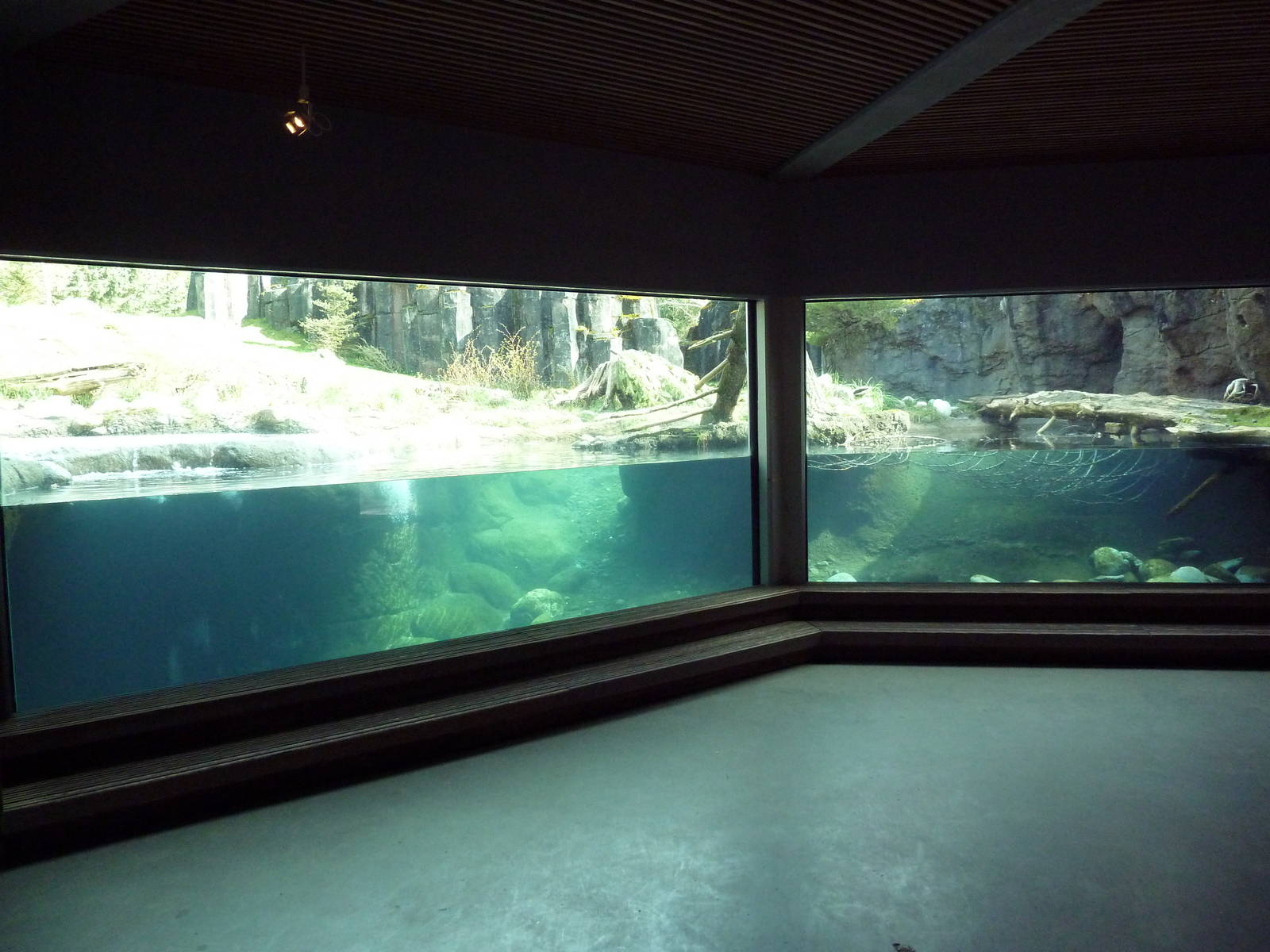 River Otter Exhibit
