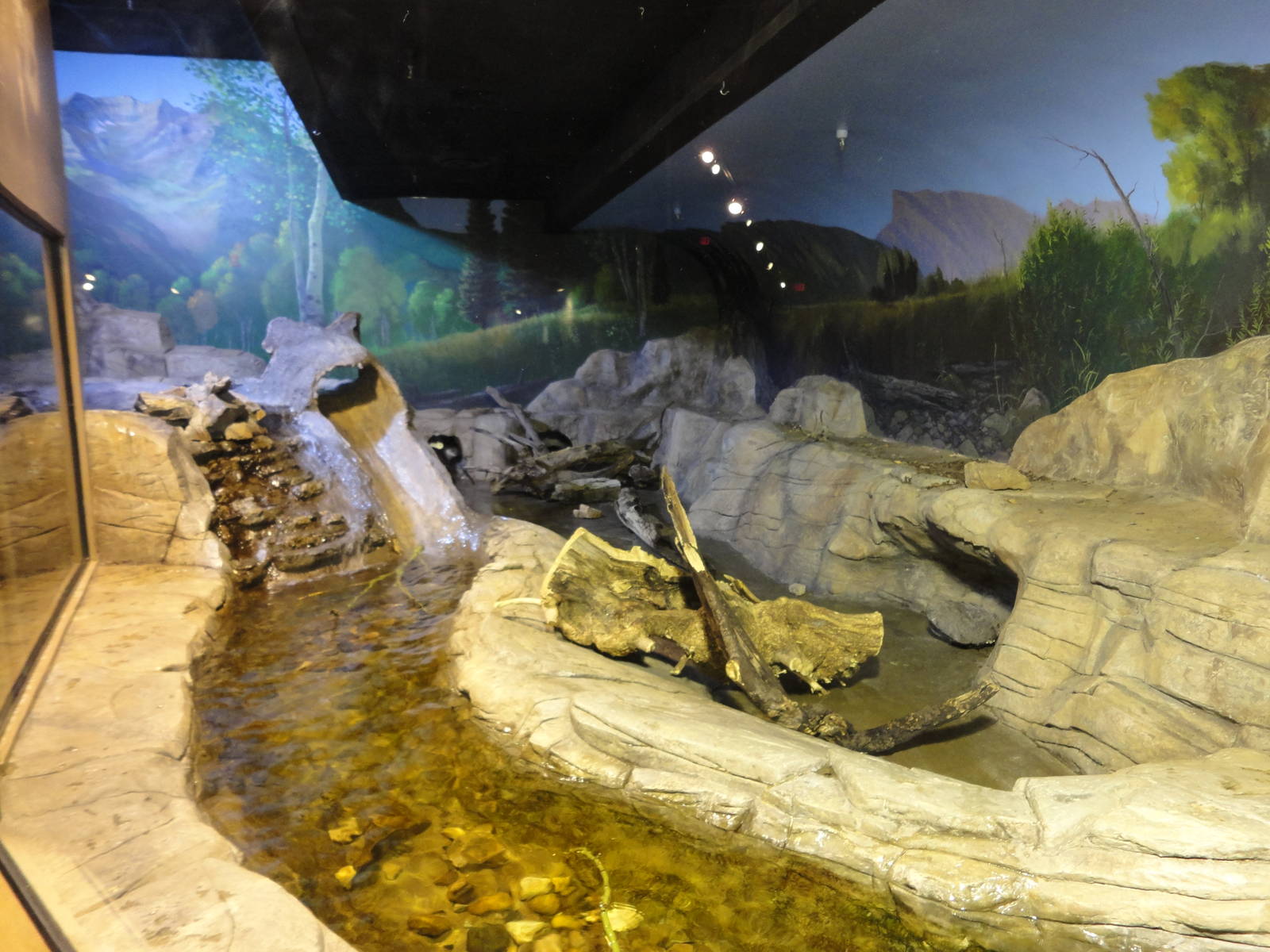 River Otter Exhibit