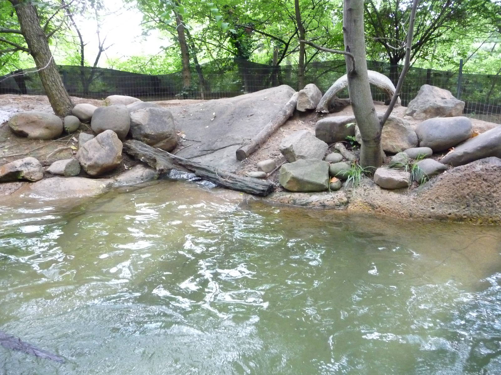 River Otter Exhibit