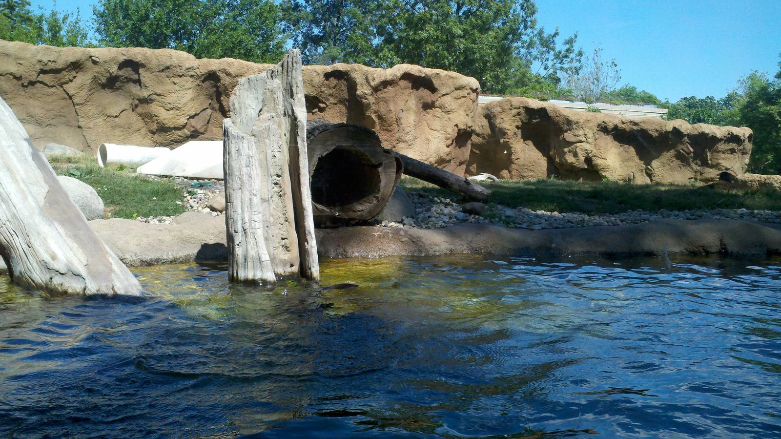River Otter Exhibit.