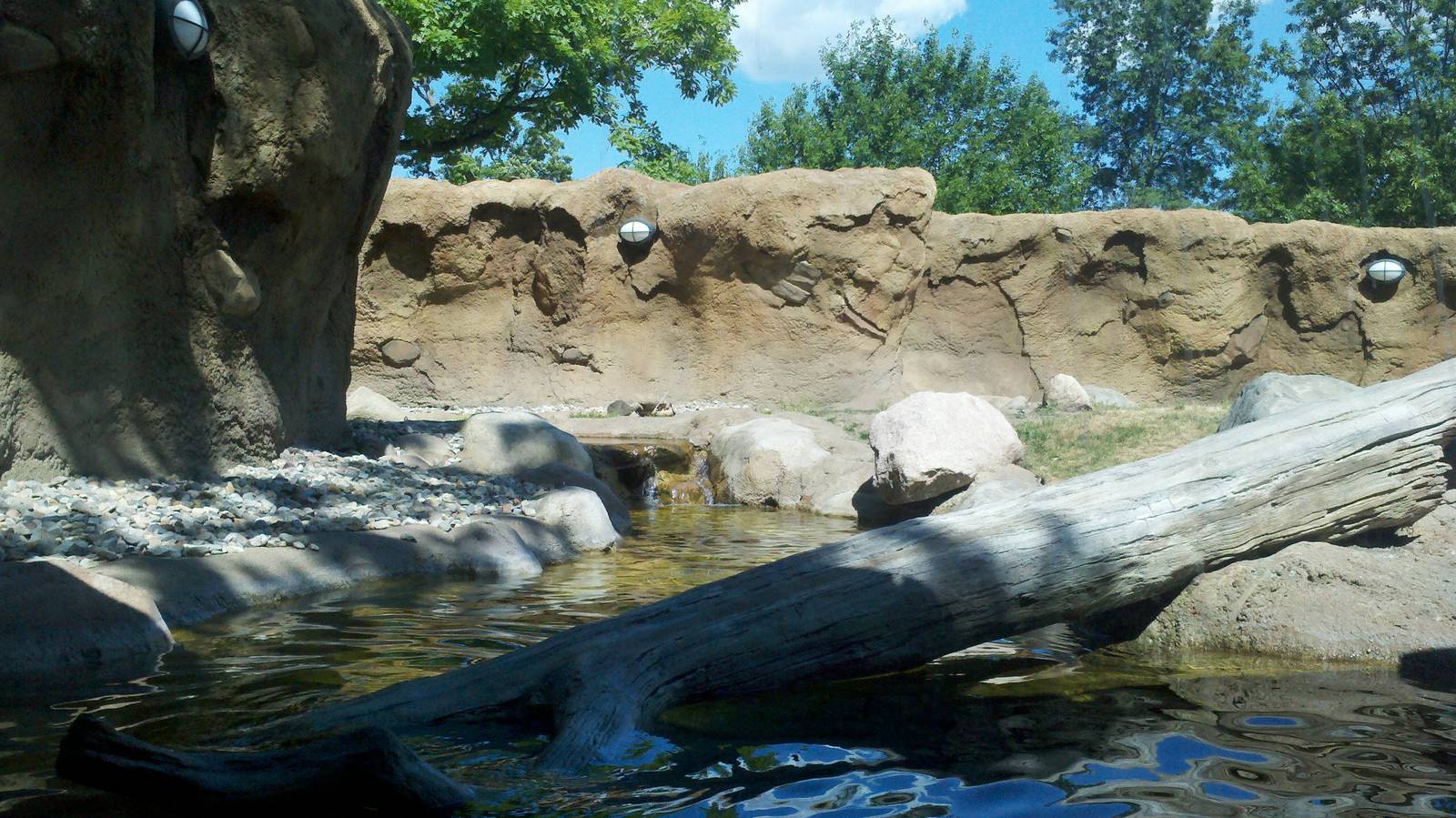 River otter Exhibit.