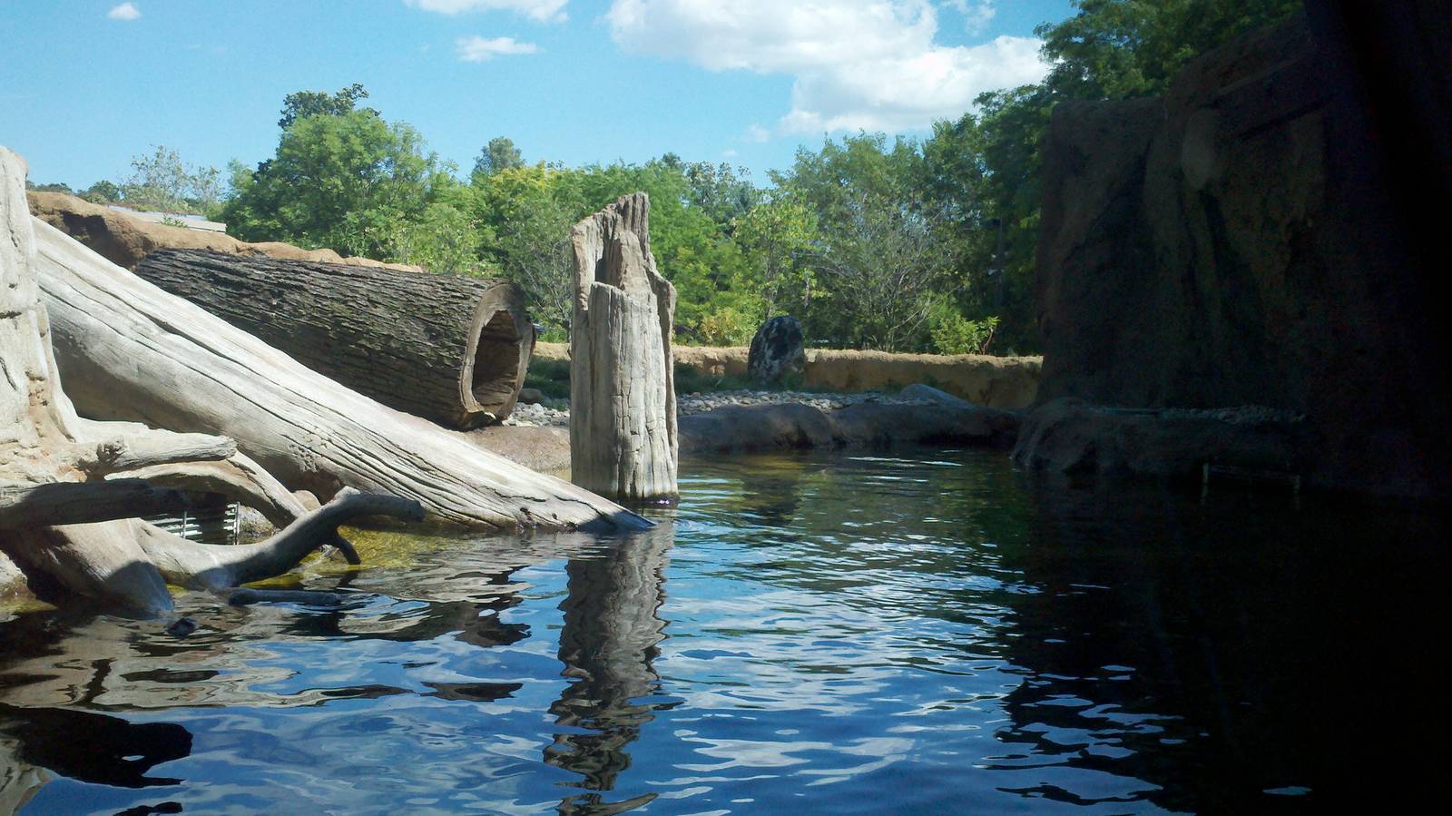 River otter Exhibit