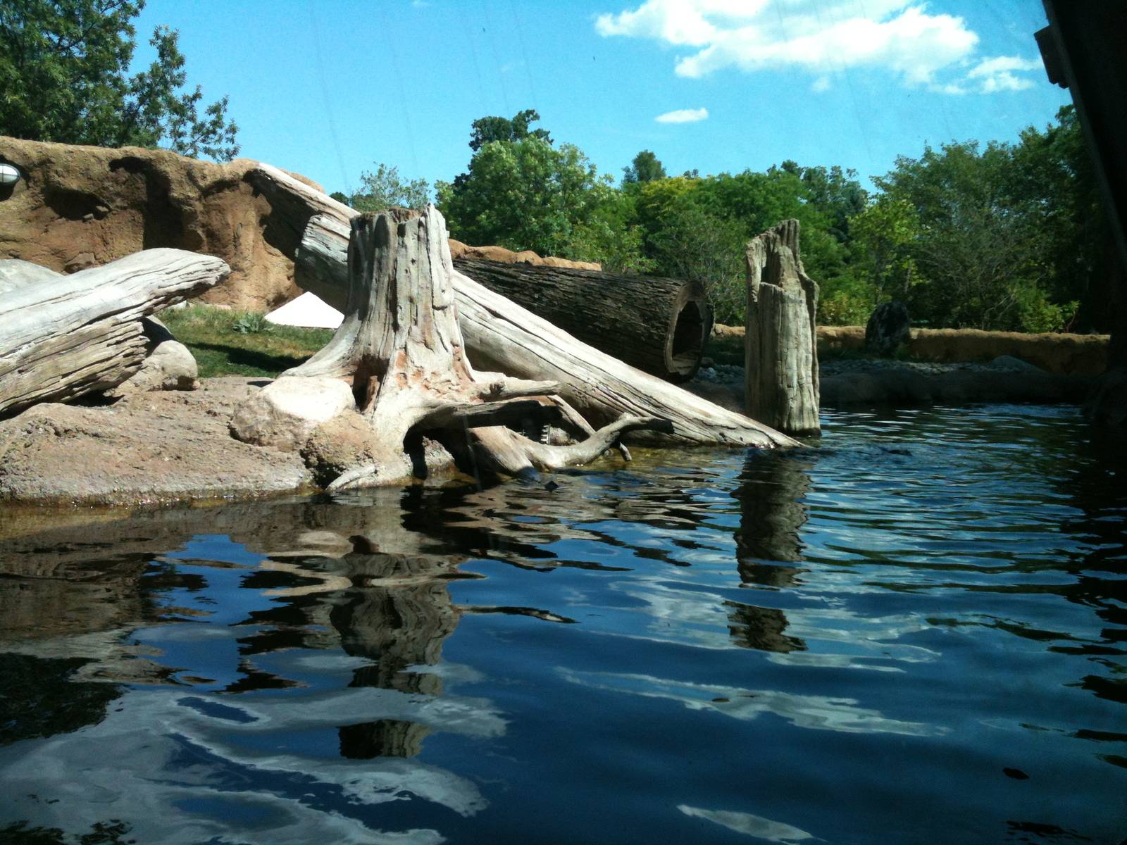 river otter exhibit