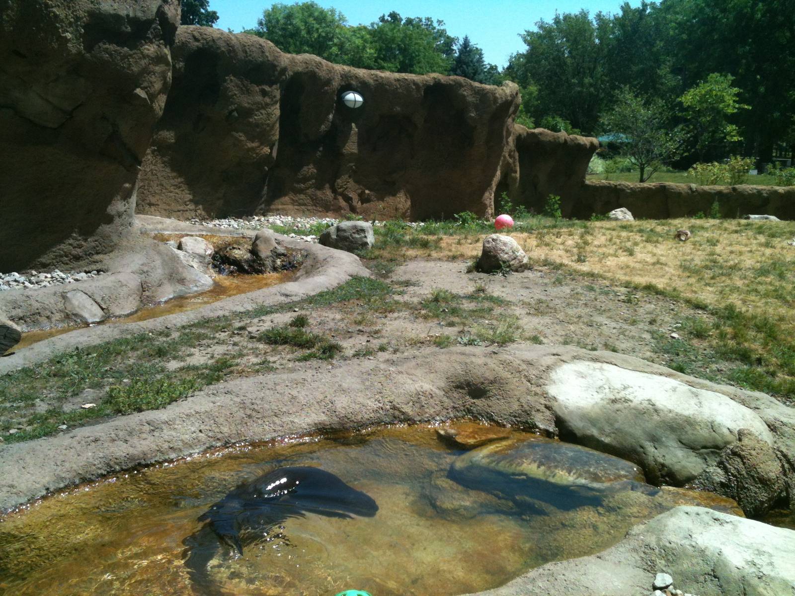 River otter exhibit