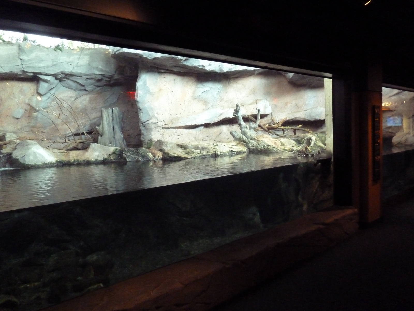 River Otter Exhibit