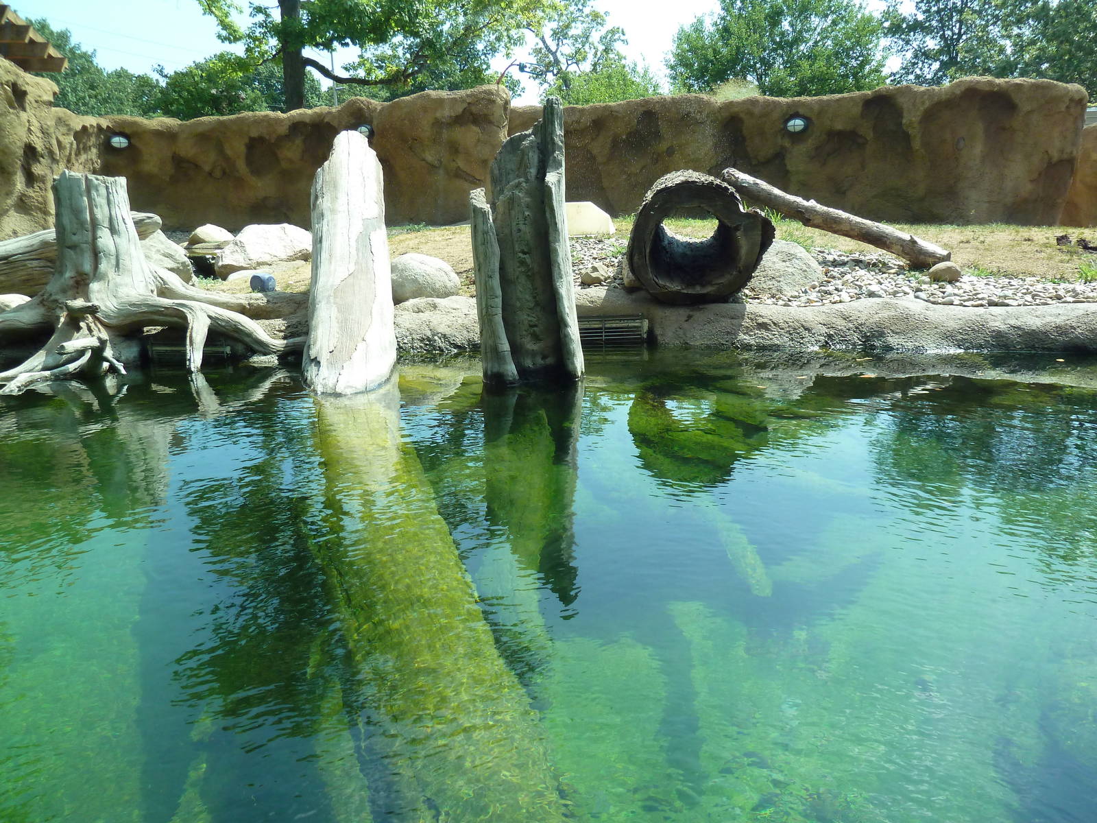 River Otter Exhibit