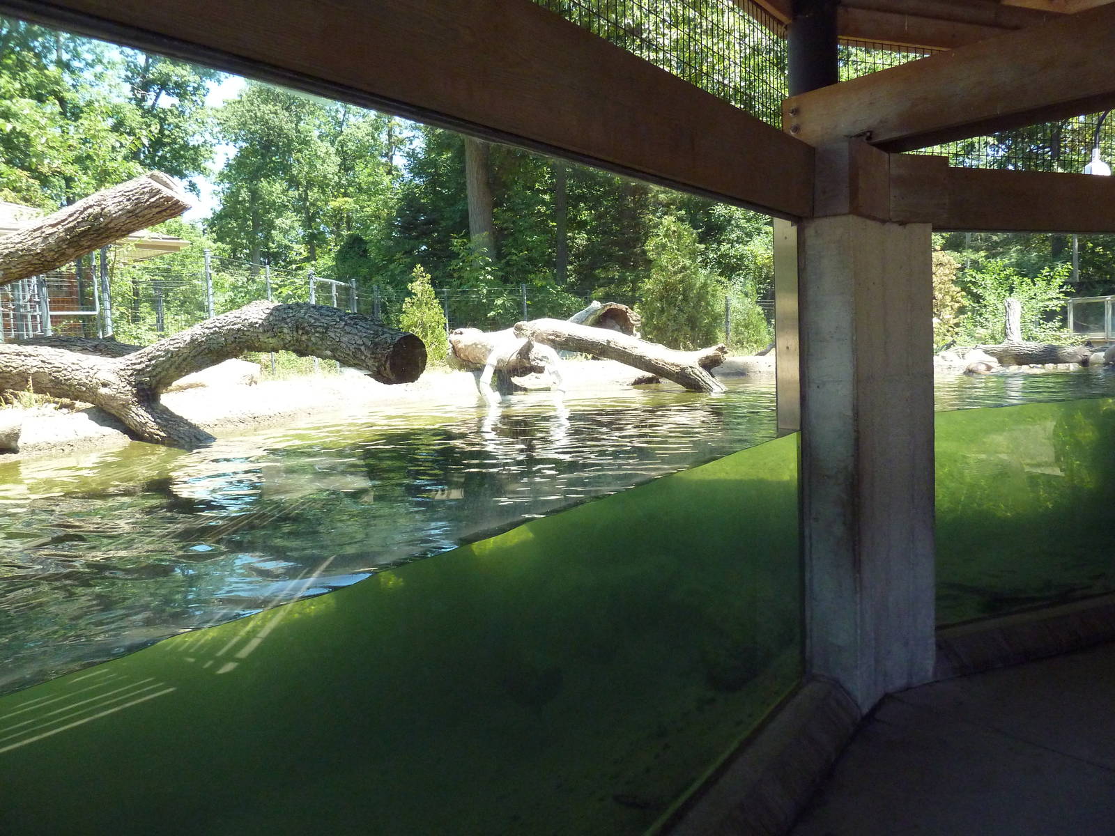 River Otter Exhibit