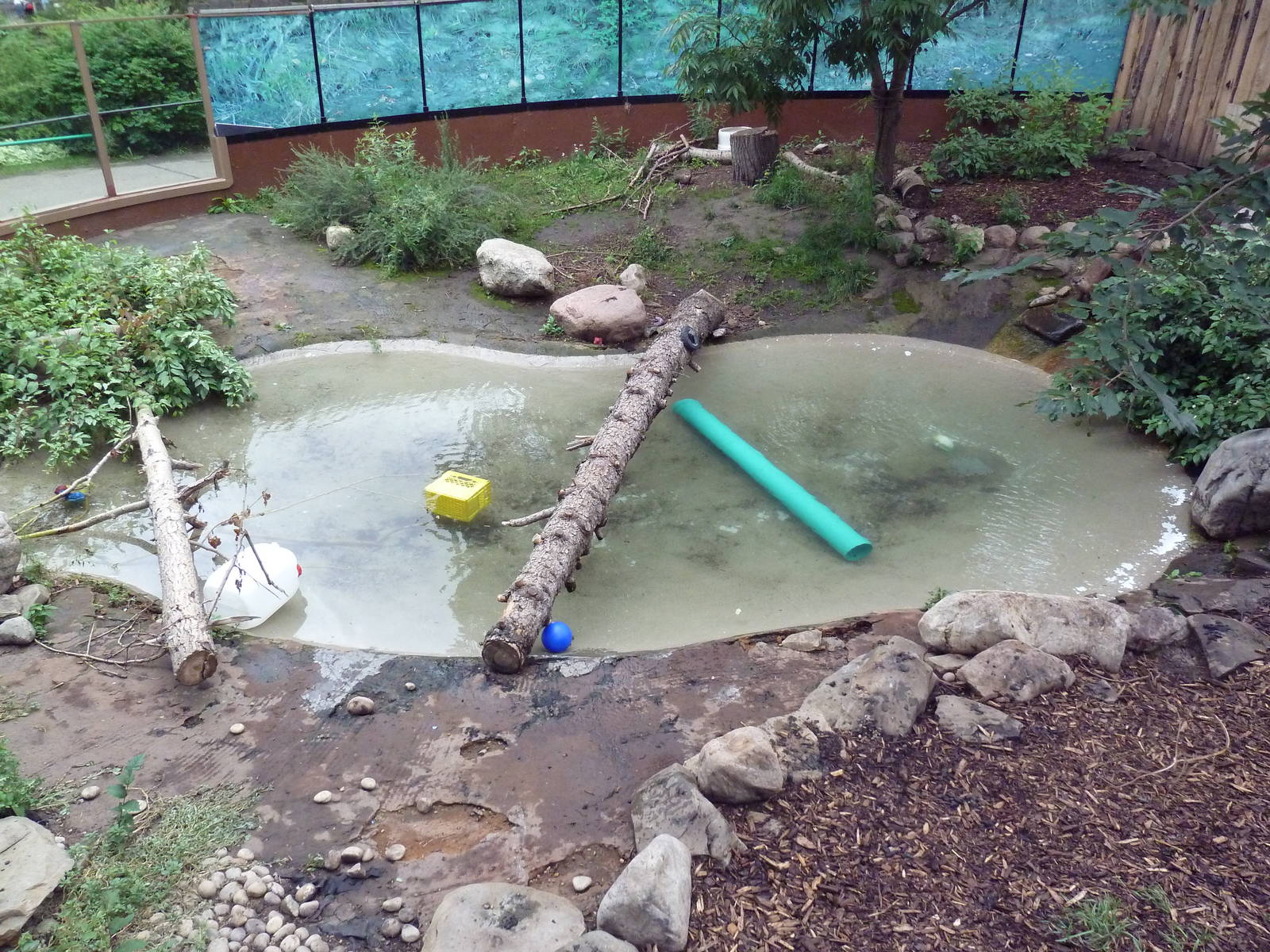 River Otter Exhibit