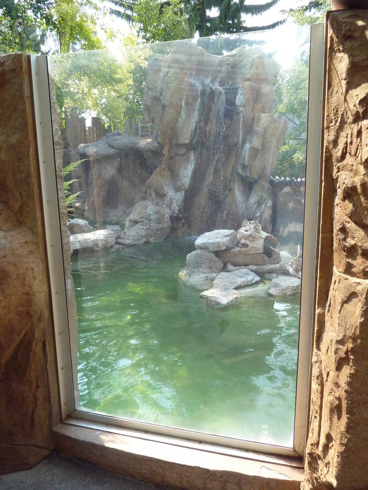 River Otter Exhibit