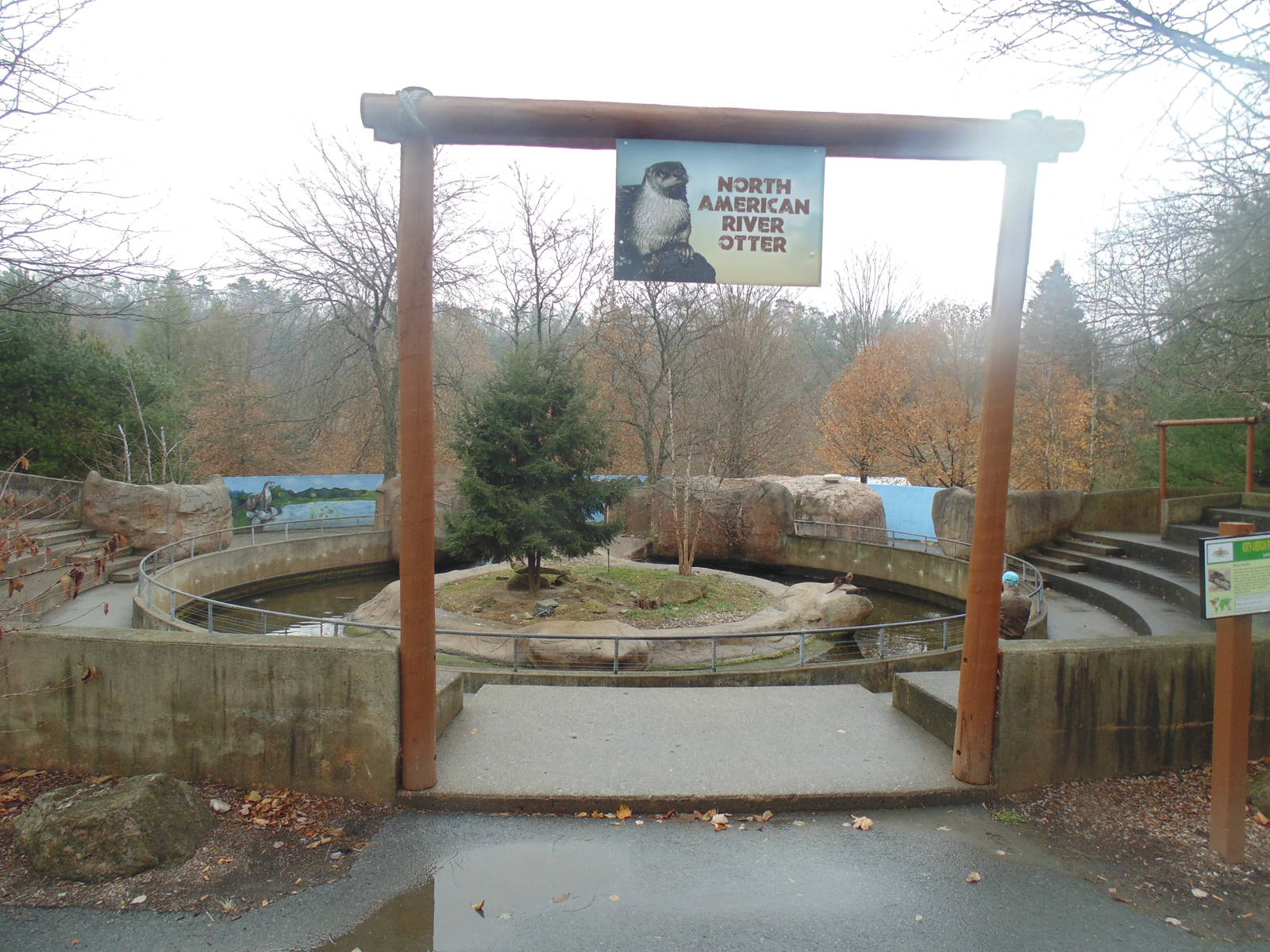 River Otter Exhibit