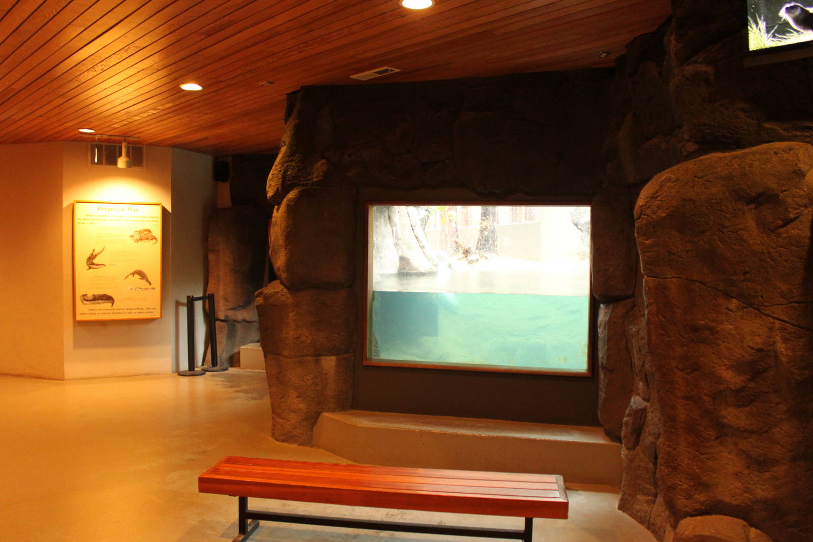 River Otter Exhibit