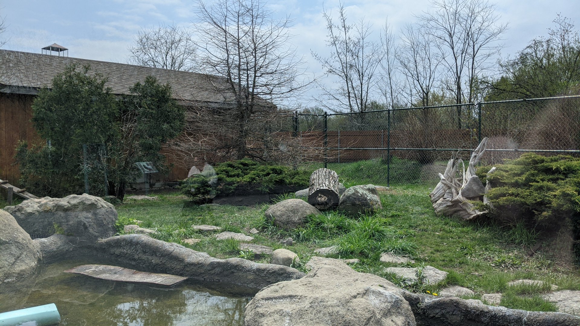 River Otter exhibit