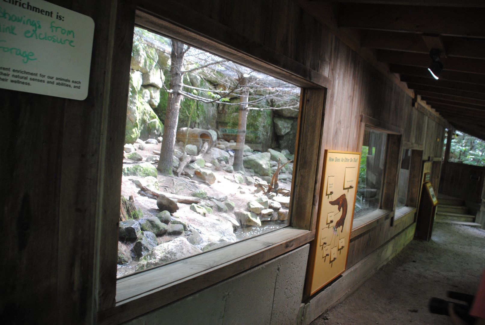 River Otter exhibit