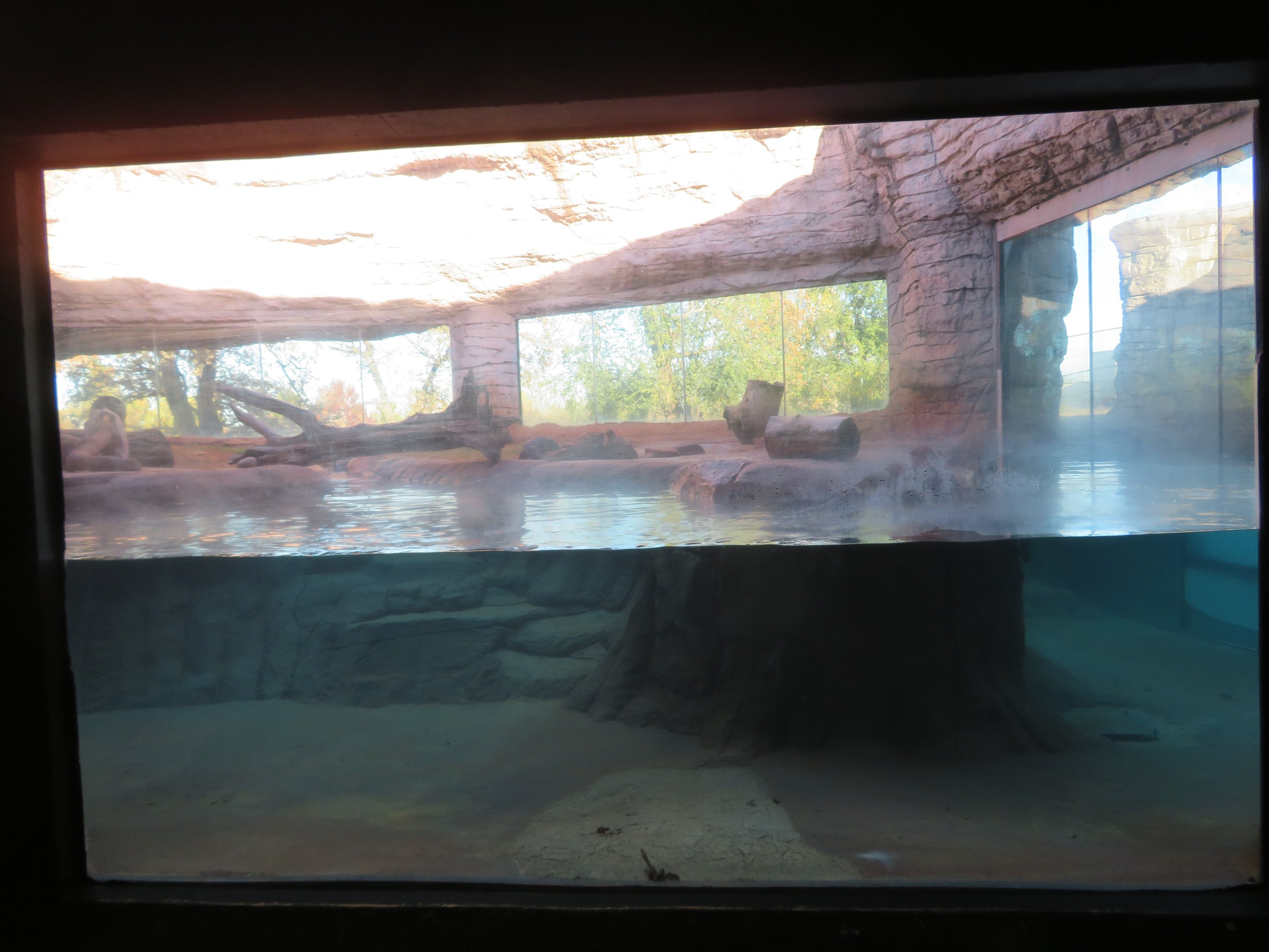 River Otter Exhibit